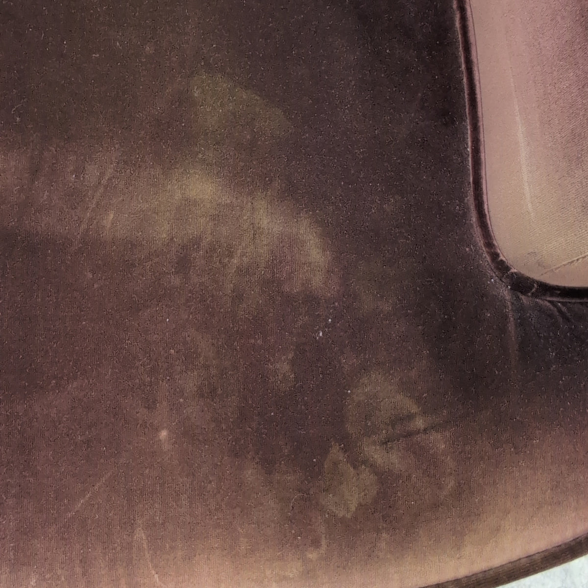 Deep Brown Velvet Upholstered Armchair