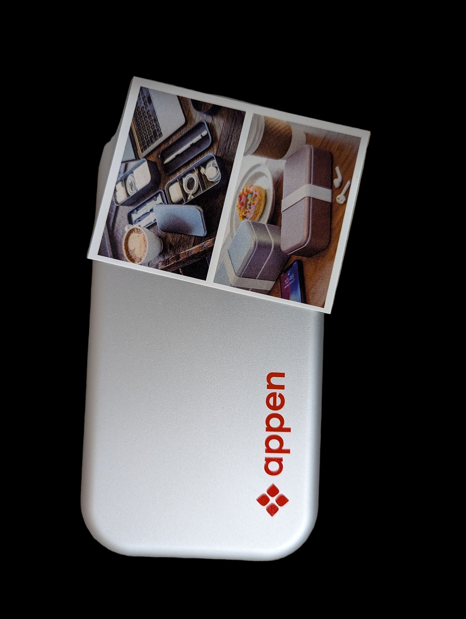 Appen Silver Bento Box with Compartments