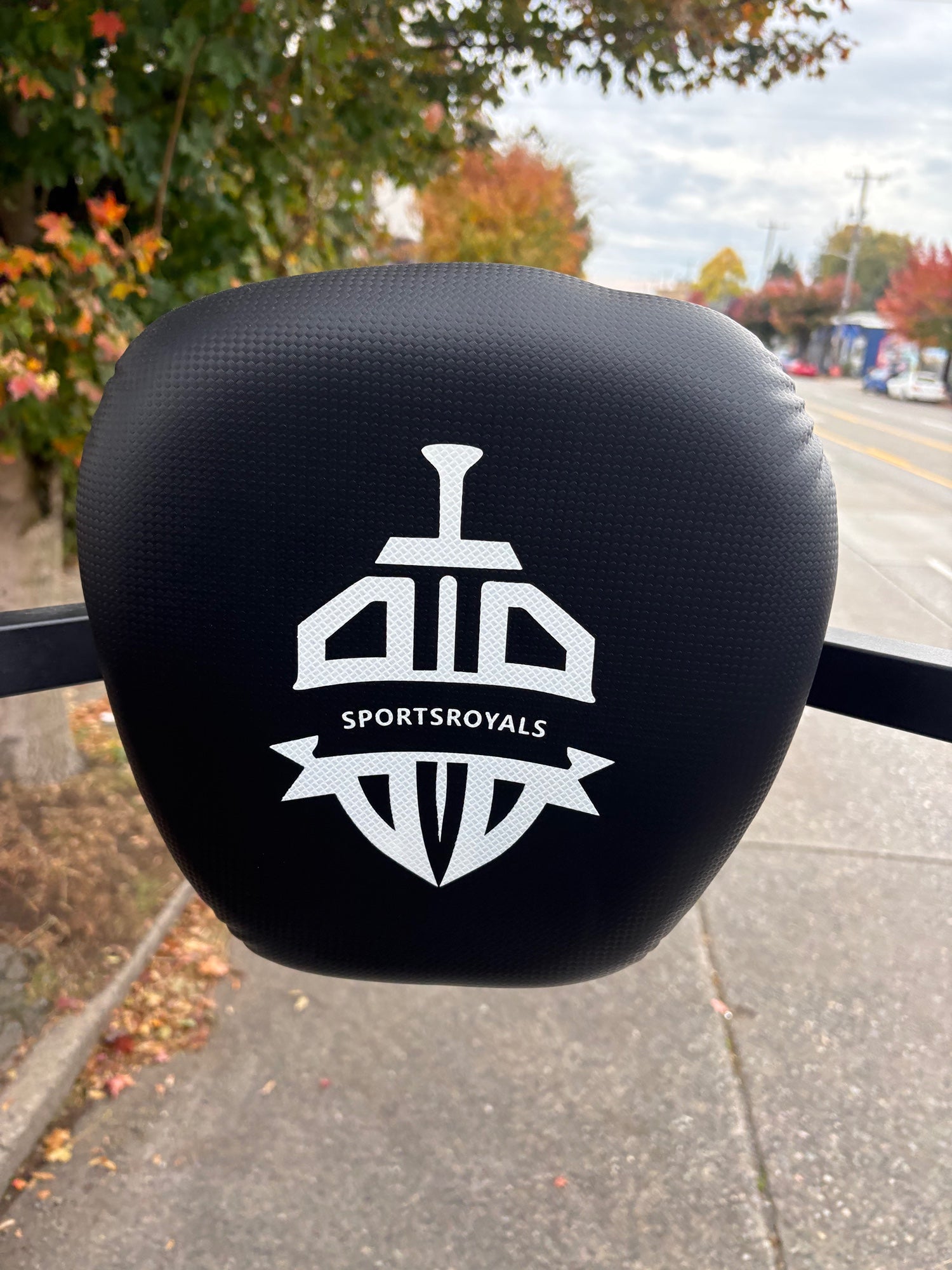 SPORTSROYALS FLYBIRD Adjustable Power Tower Dip Station with Bench