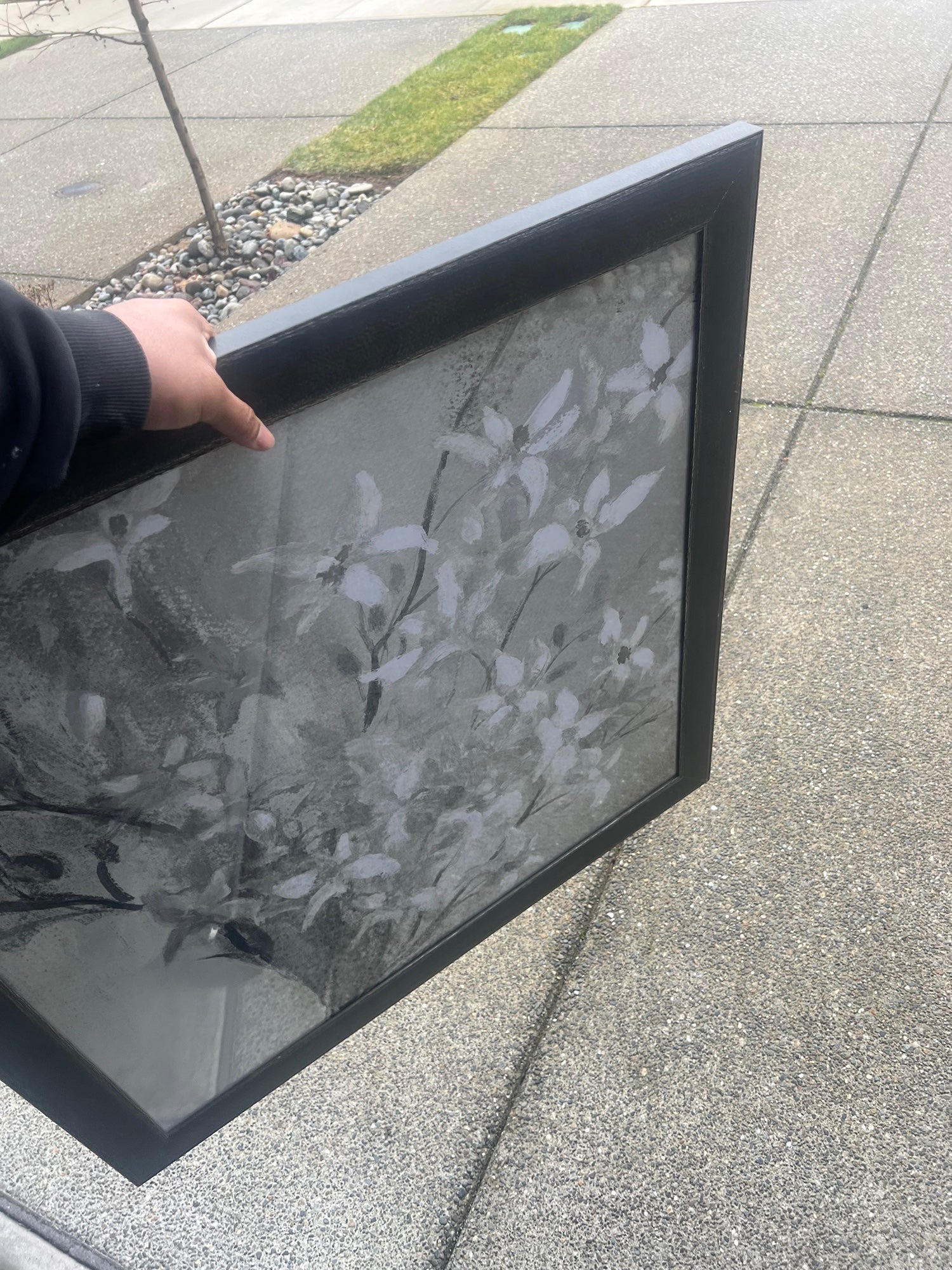 Monochrome Botanical Framed Wall Art