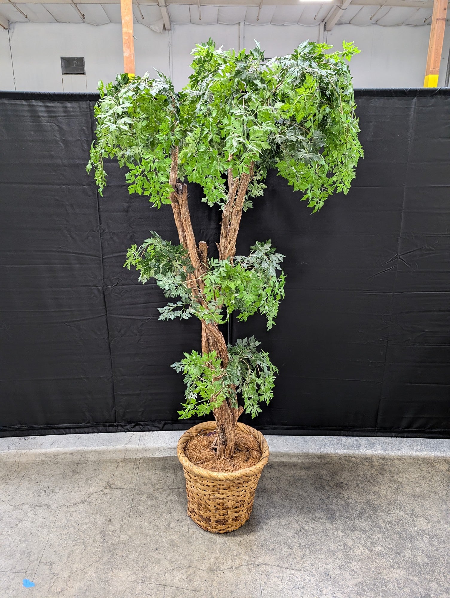 Tall Artificial Green Plant in Woven Basket Planter