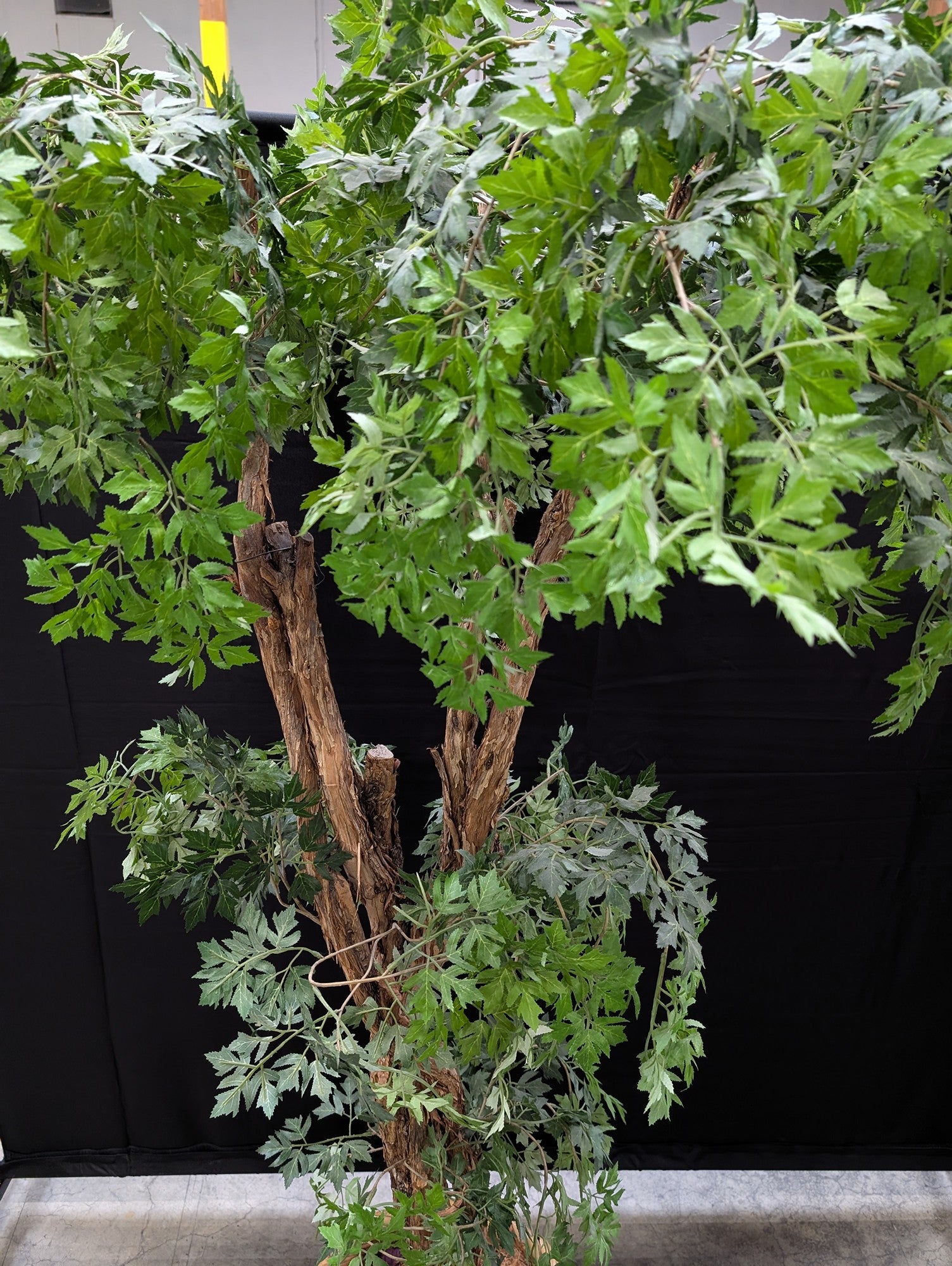 Tall Artificial Green Plant in Woven Basket Planter