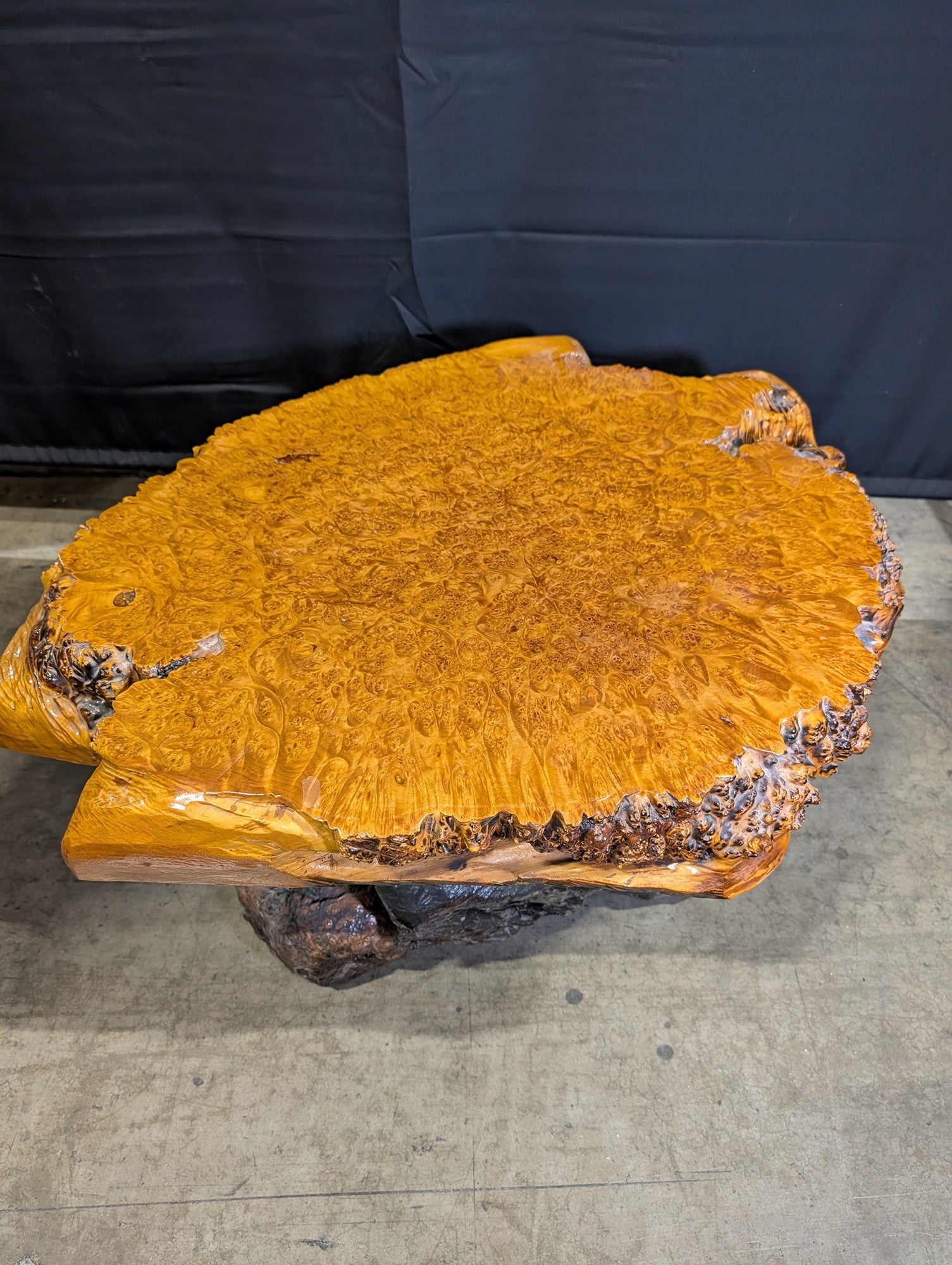 Rustic Live Edge Burl Wood Slab Coffee Table