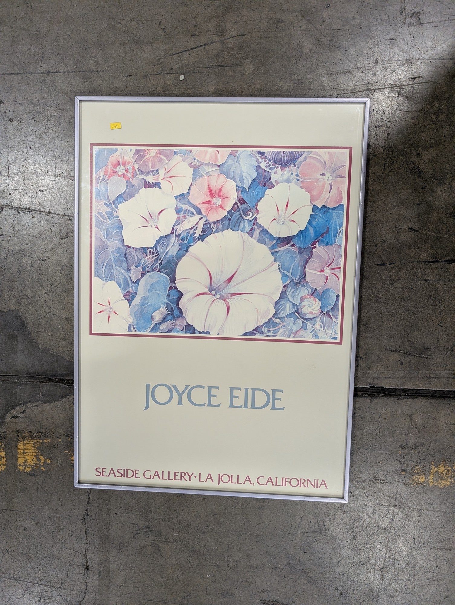Joyce Eide Framed Botanical Morning Glory Art Print