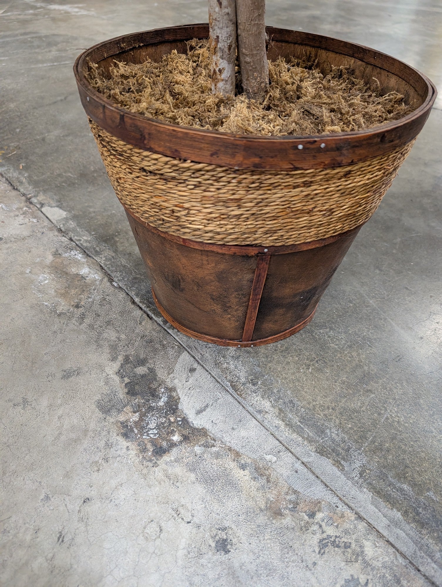 Lush Artificial Ficus Tree with Woven and Wood Planter