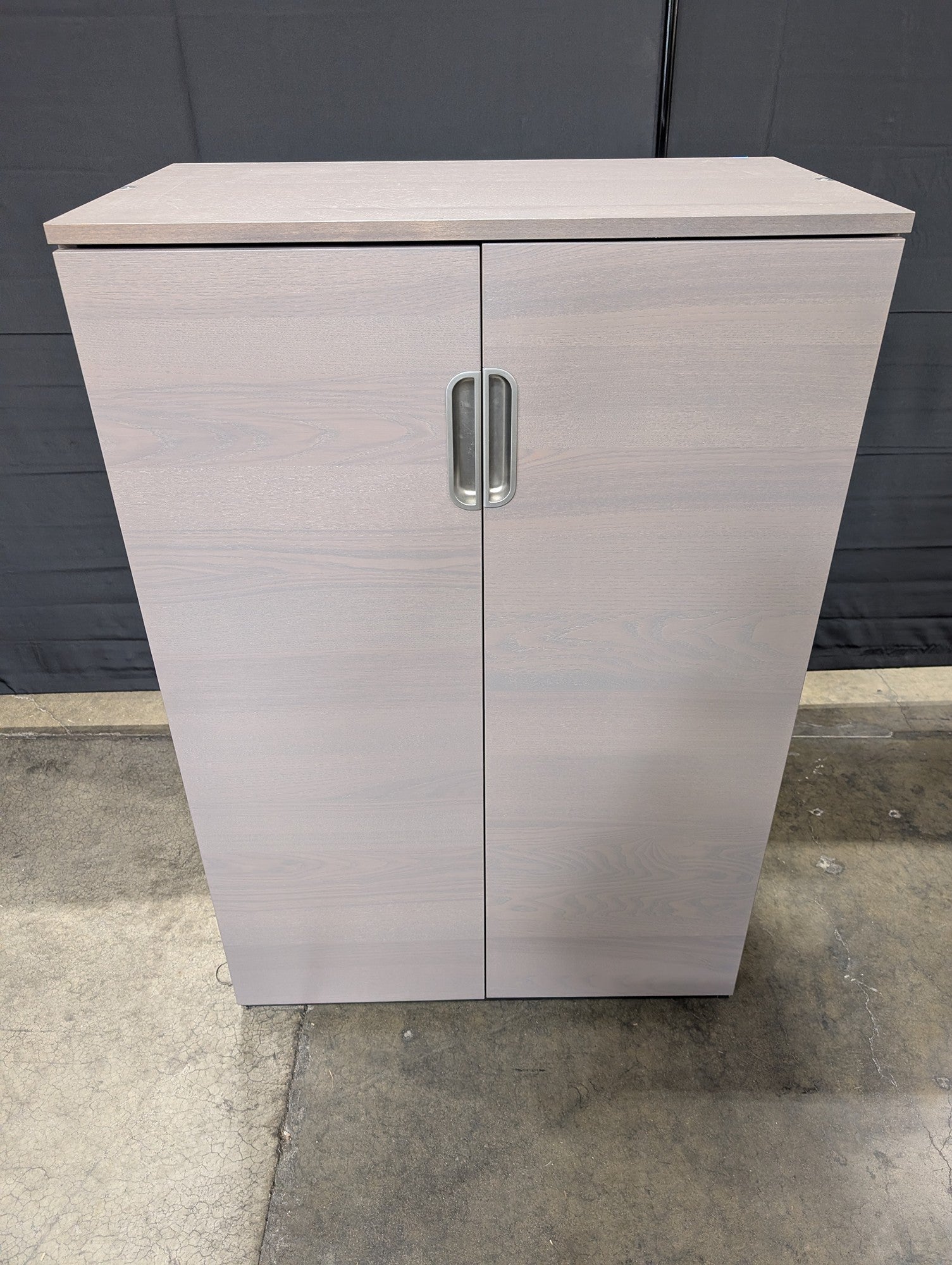 Modern Two-Door Storage Cabinet with Adjustable Shelves
