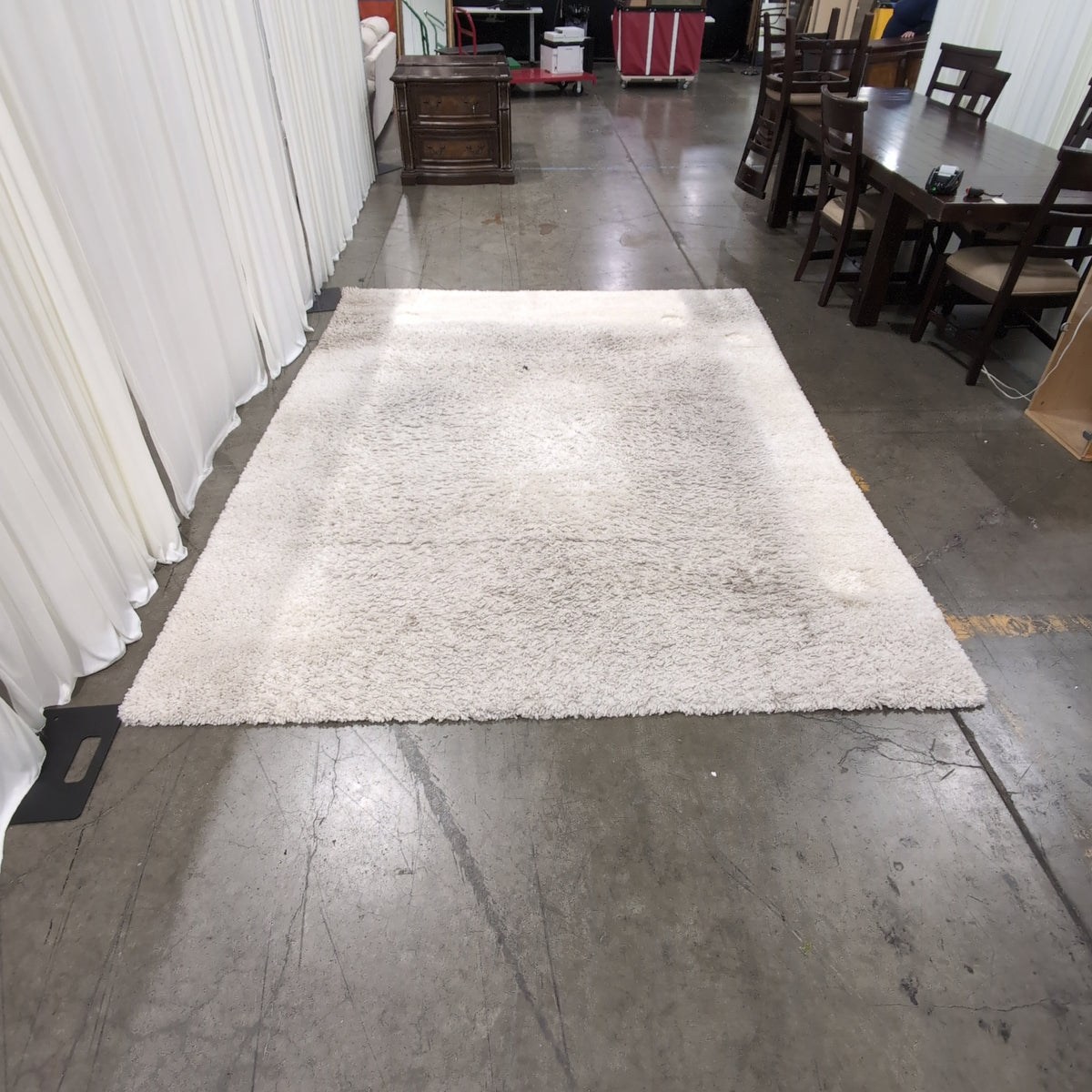 SAFAVIEH Fontana Shag Light Beige Area Rug