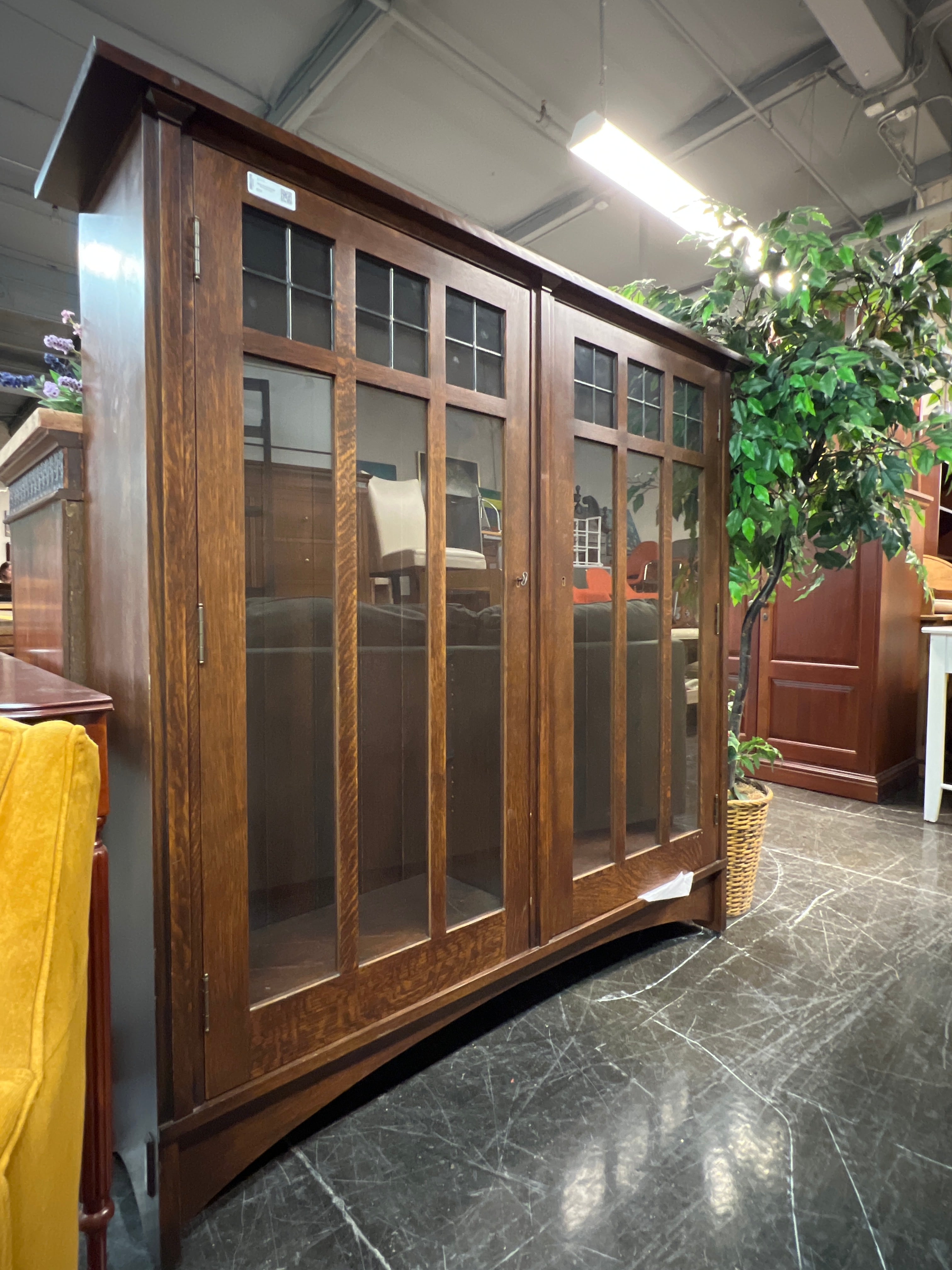 Window Framed Bookcase with Double Doors
