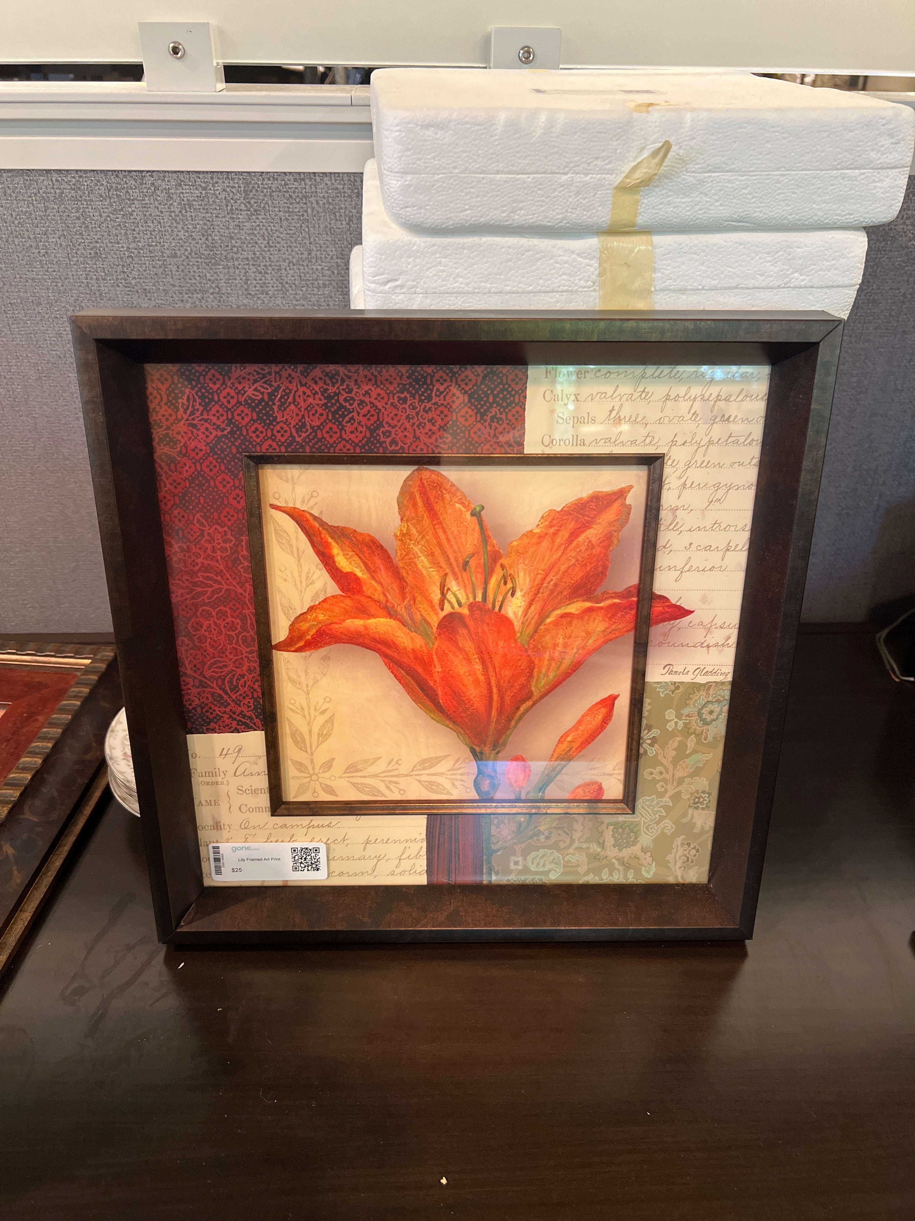Lily Framed Art Print