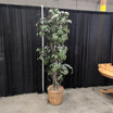 Tall Faux Ficus Artificial Tree in Wicker Basket
