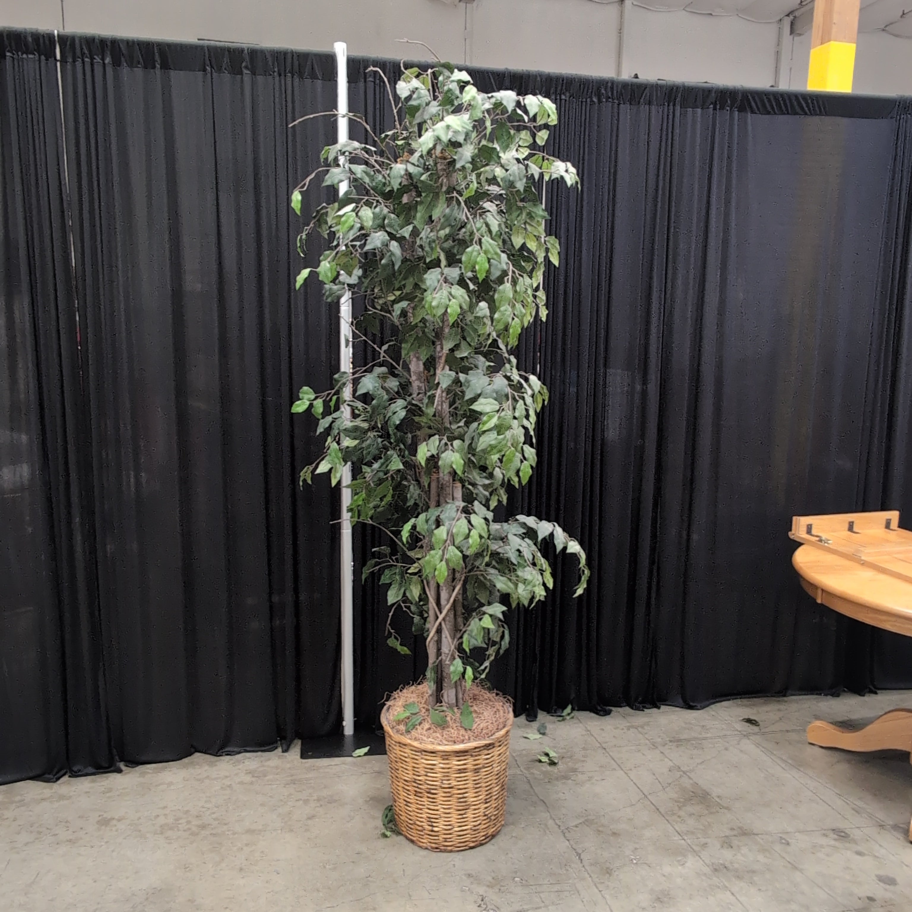 Tall Faux Ficus Artificial Tree in Wicker Basket