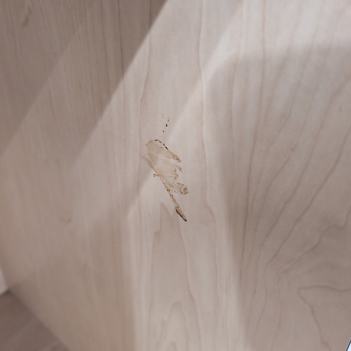 Light Wood Lectern with Storage Shelves