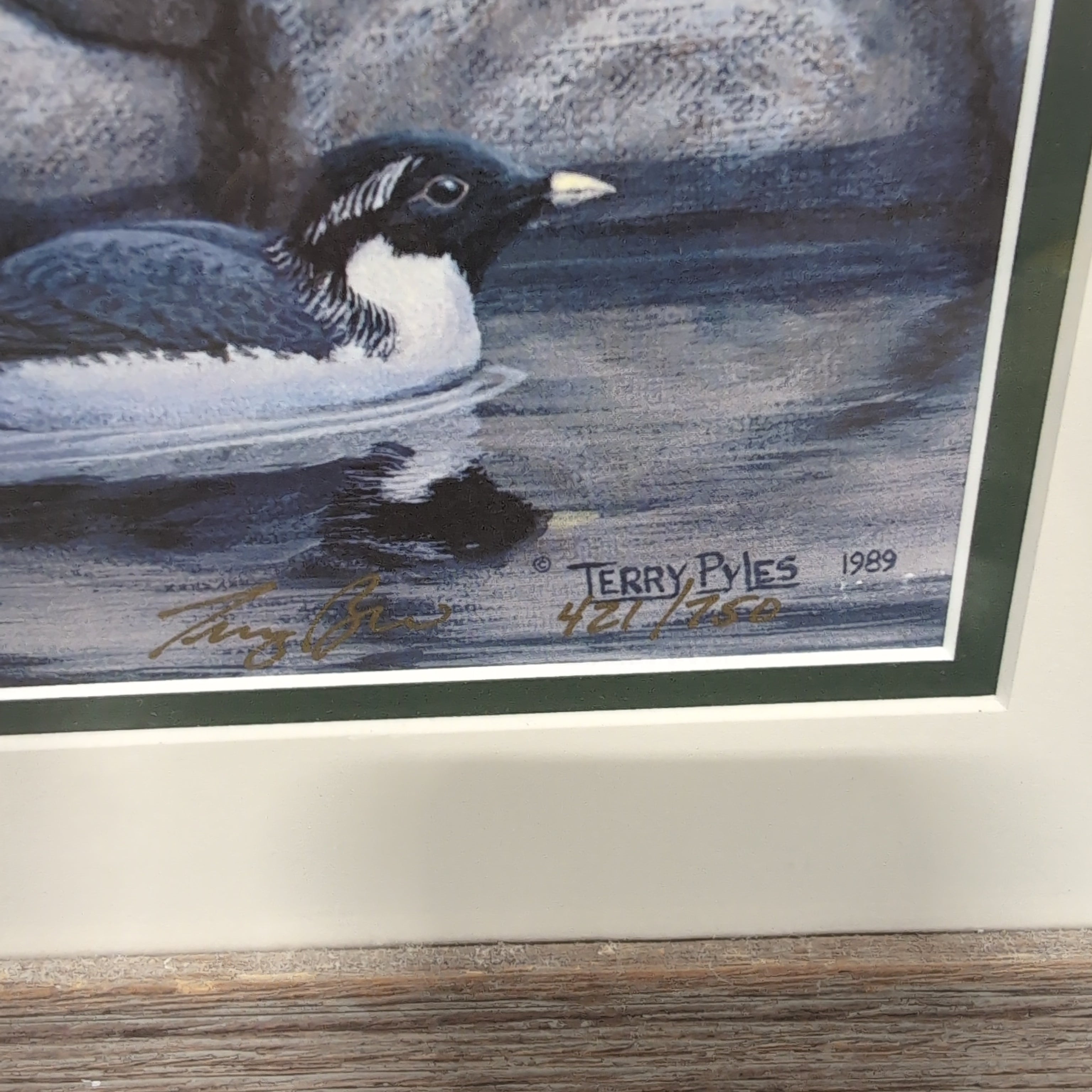 Natural Wood Framed Seabird Wildlife Print