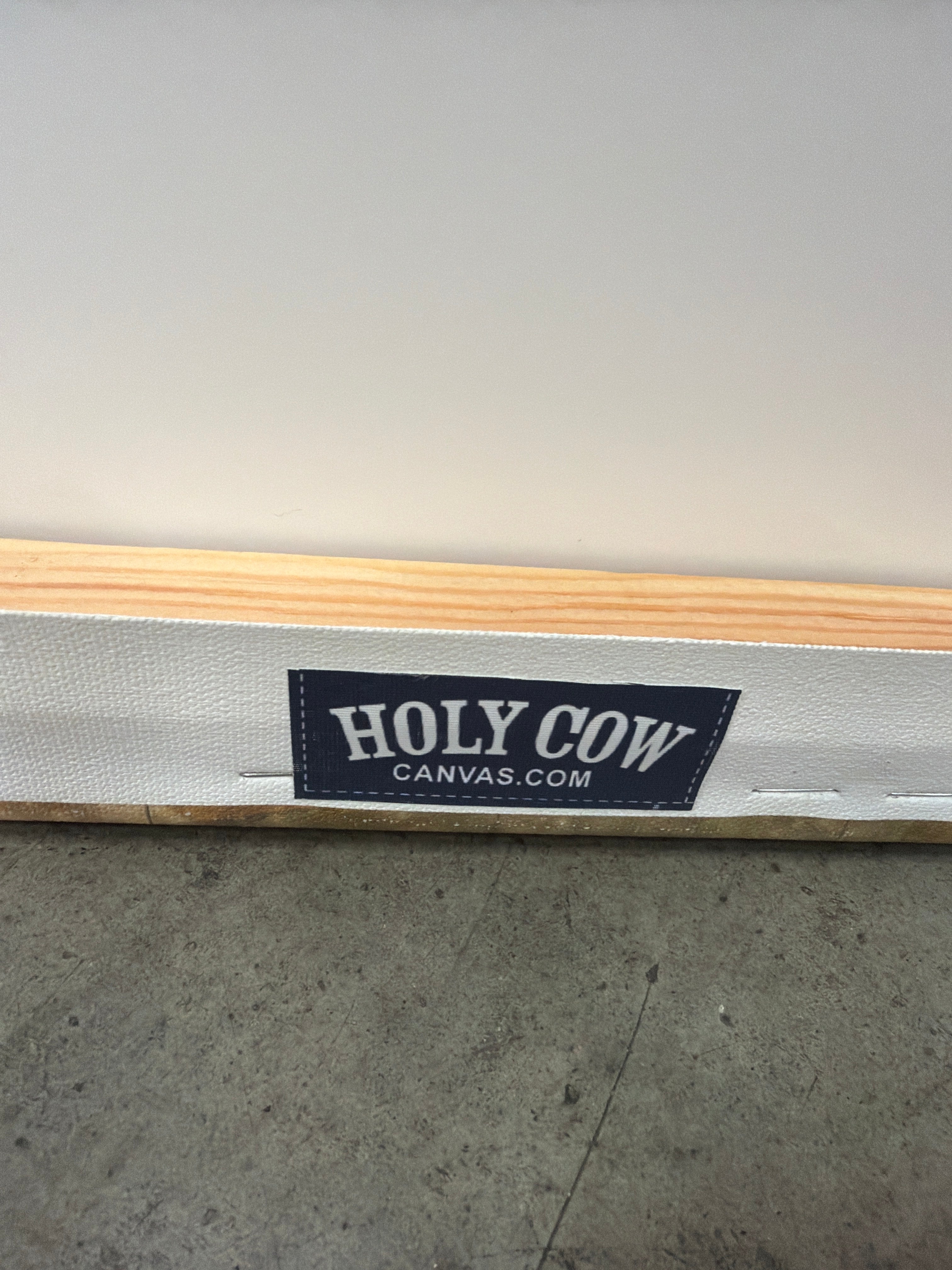 Holy Cow Vintage-Style Large World Map Push Pin Canvas Wall Art
