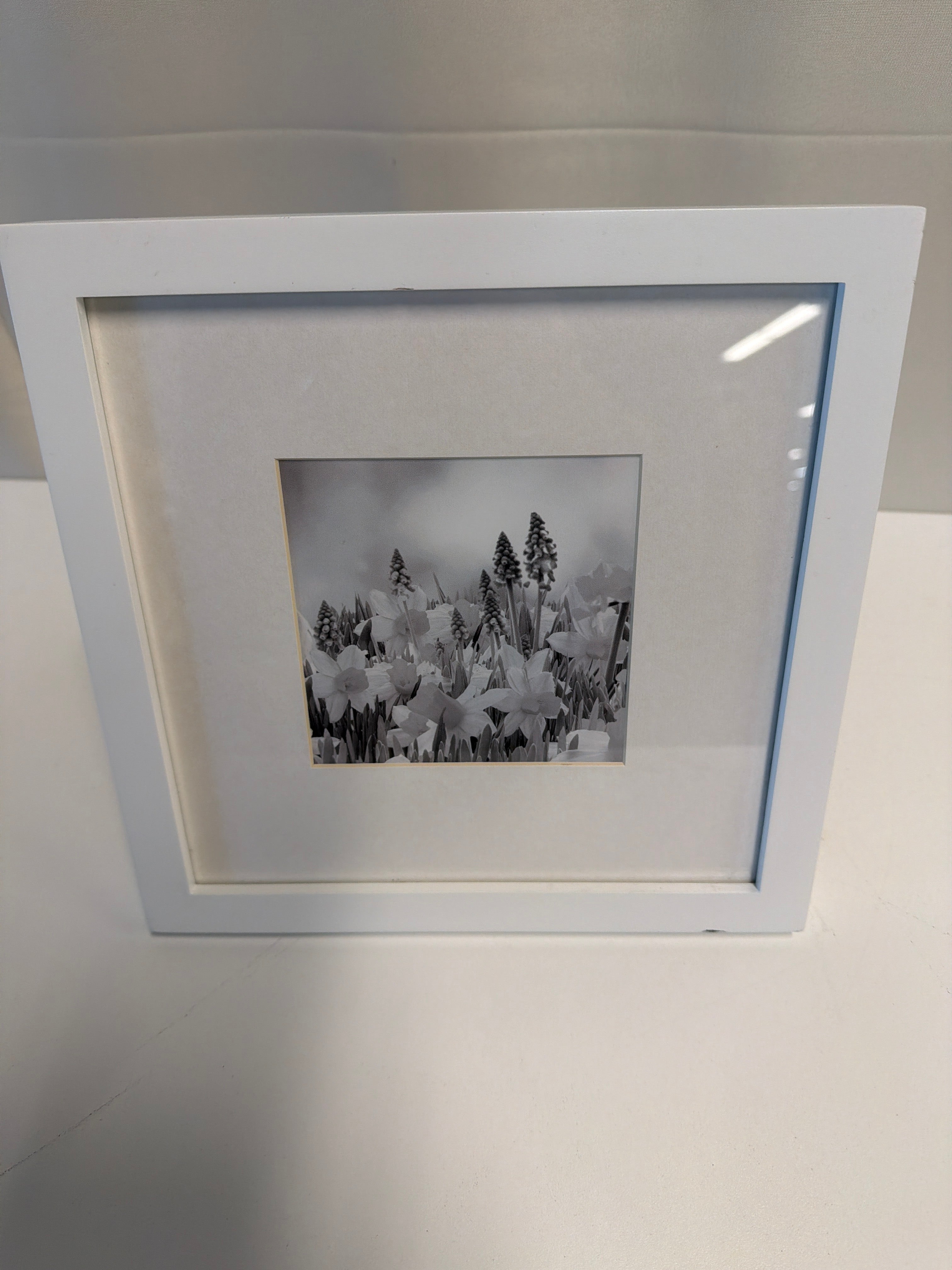 Pottery Barn Monochromatic Landscape Framed Art Print in White Frame