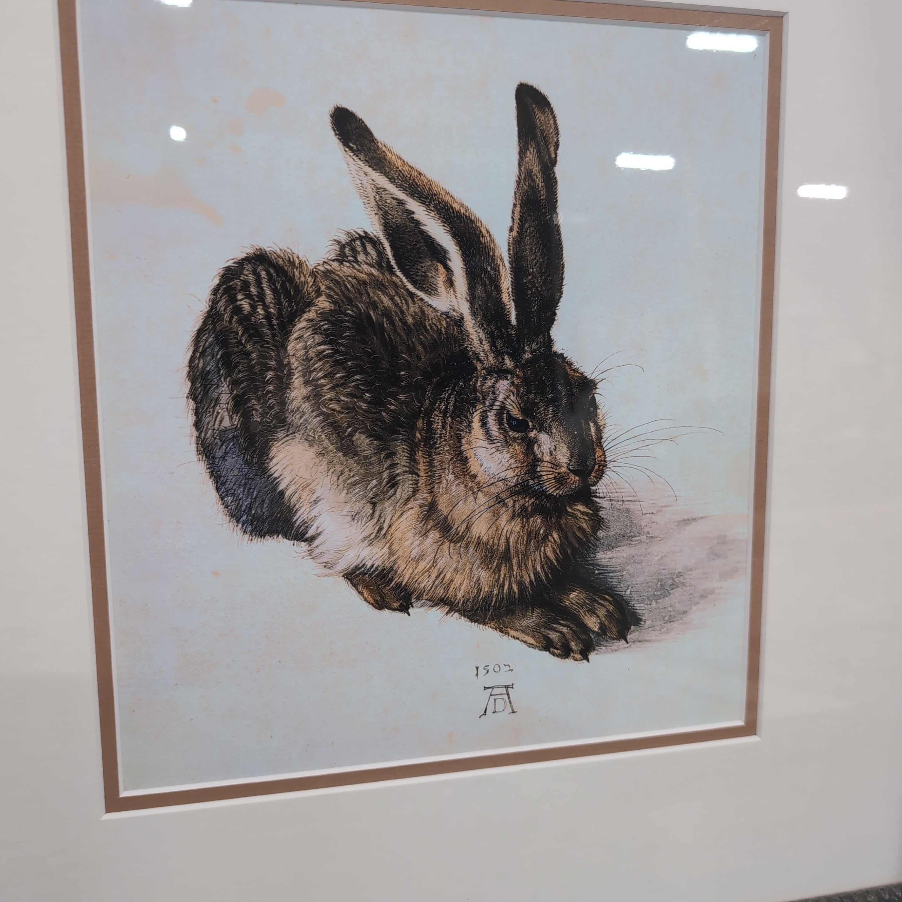 Albrecht Dürer Young Hare Framed Art Print