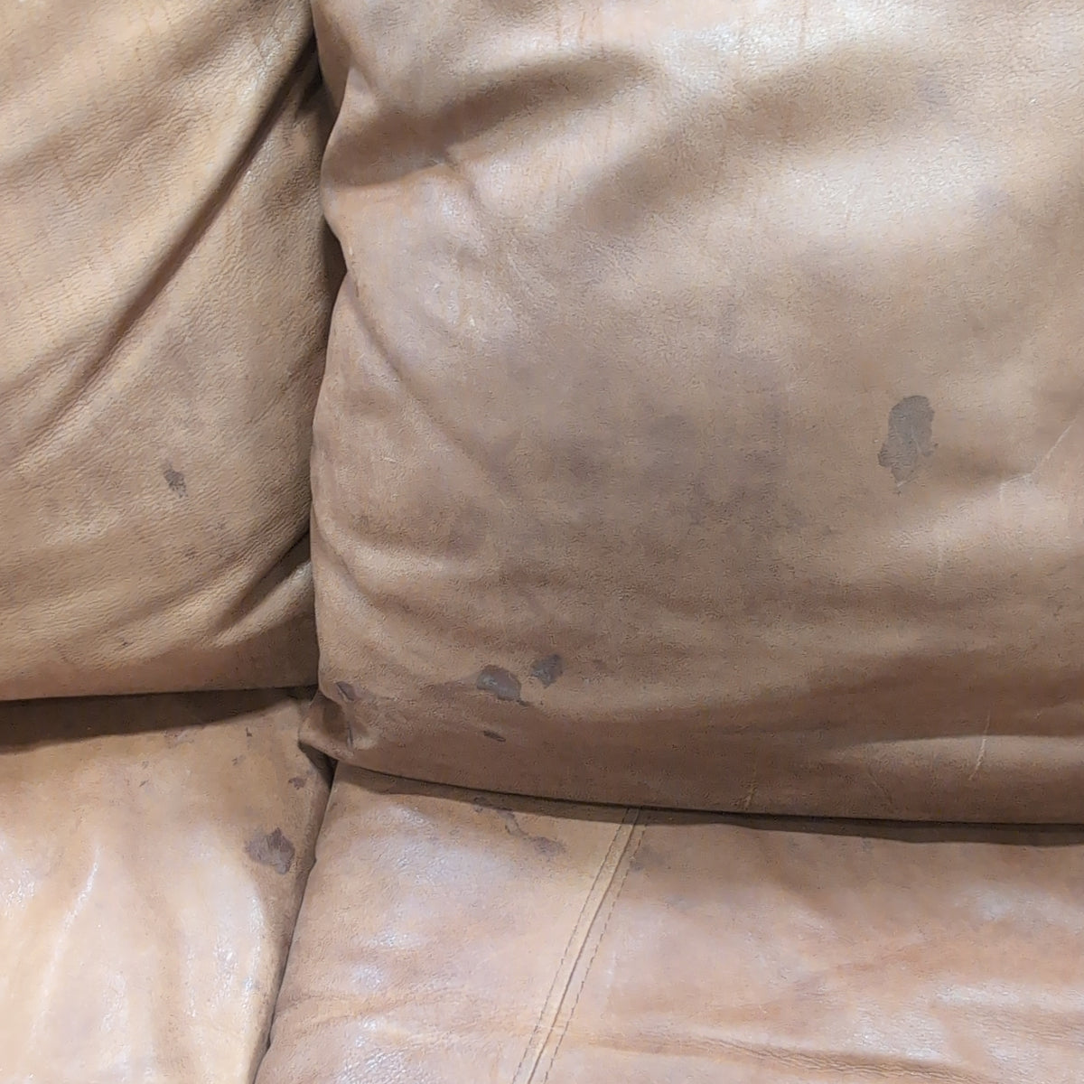 Padded Arm Three-Cushion Brown Couch in Leather