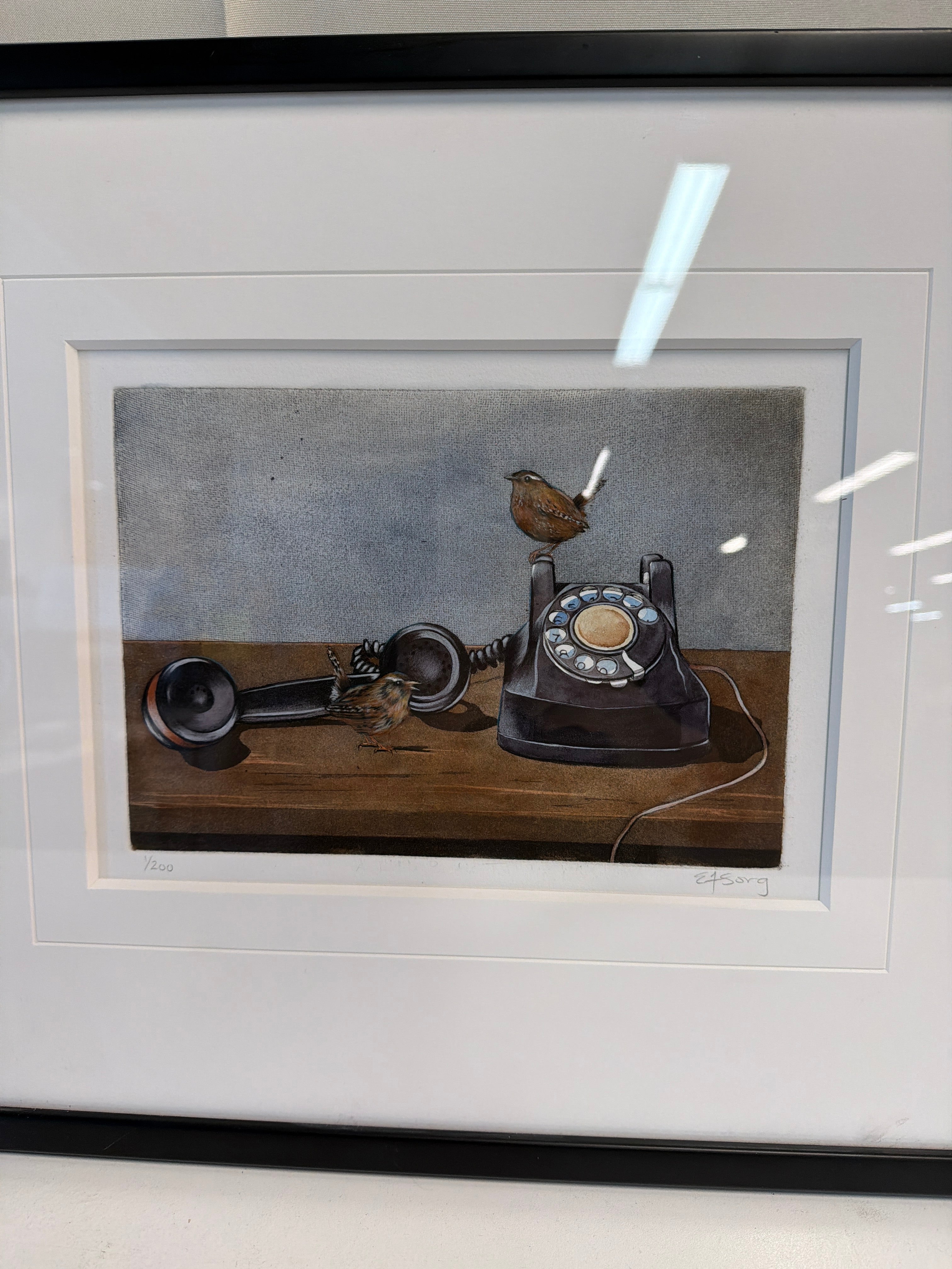 Limited Edition Rotary Telephone and Bird Framed Art Print by PNW artist