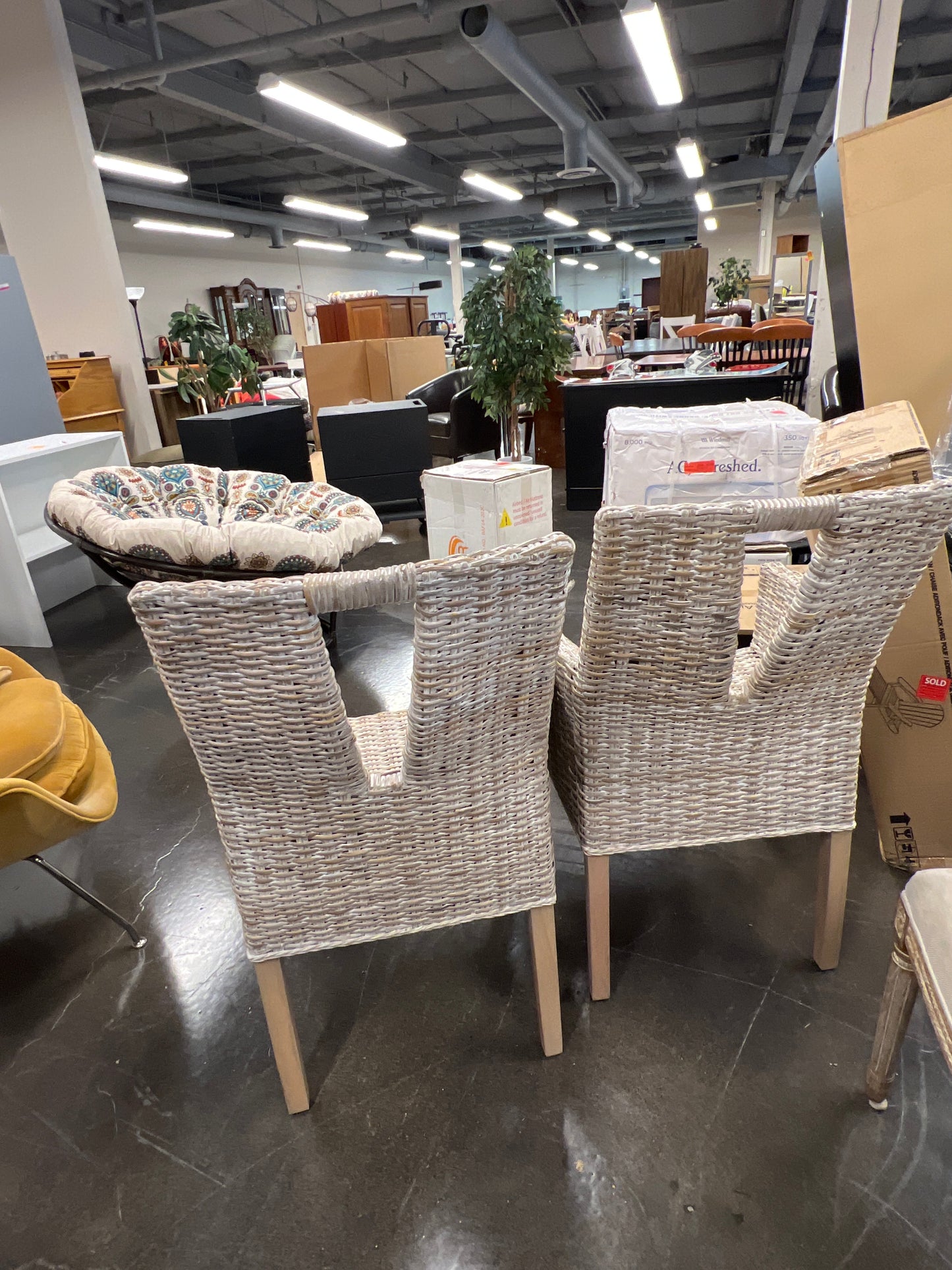 White Washed Wicker Chairs