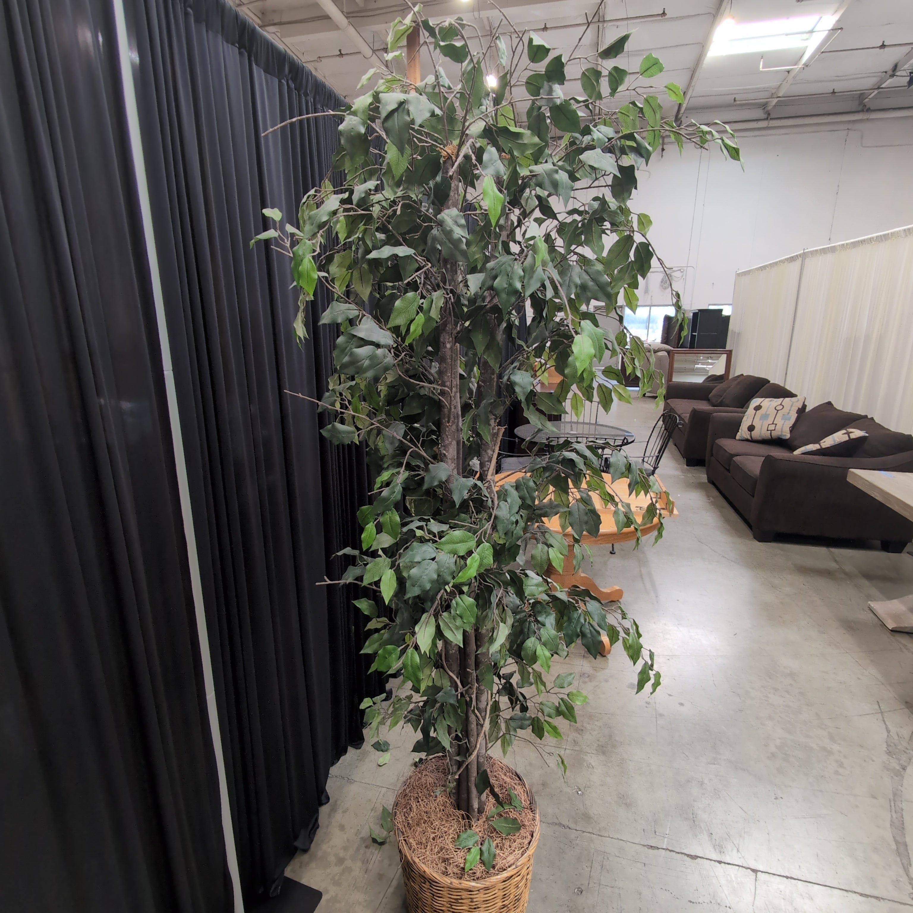 Tall Faux Ficus Artificial Tree in Wicker Basket