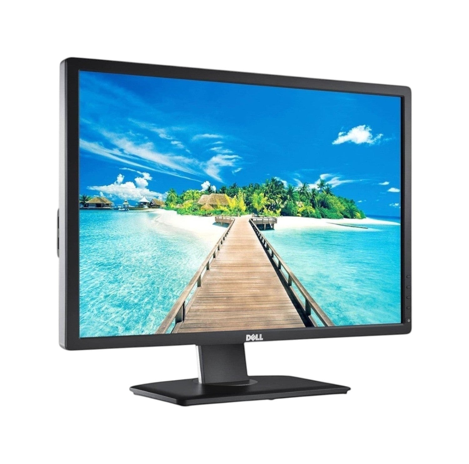 DELL U2412M 24-inch Widescreen Professional Monitor