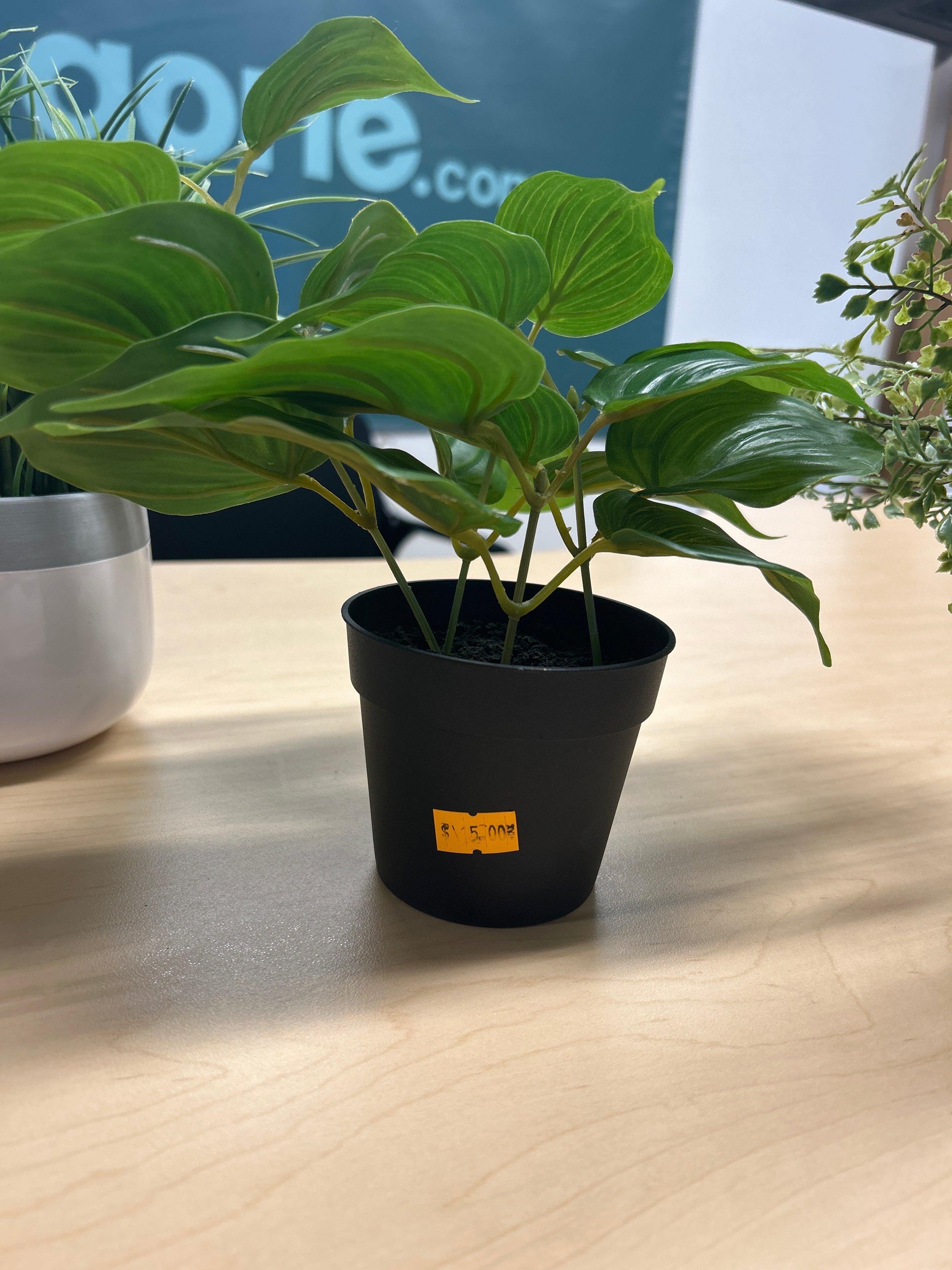 Fake Plant Decor