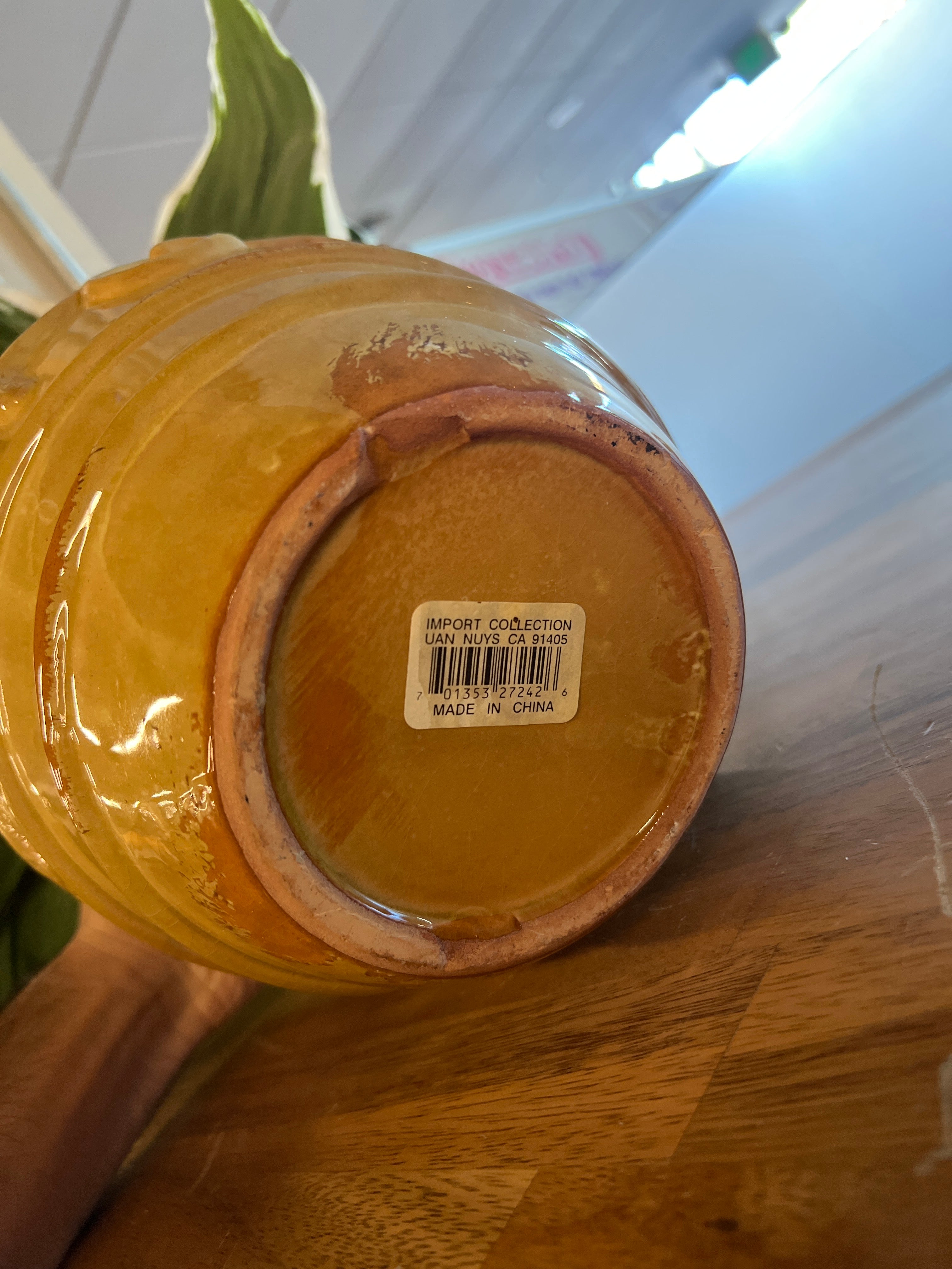 Artificial Variegated Green Plant in Glazed Ceramic Pot