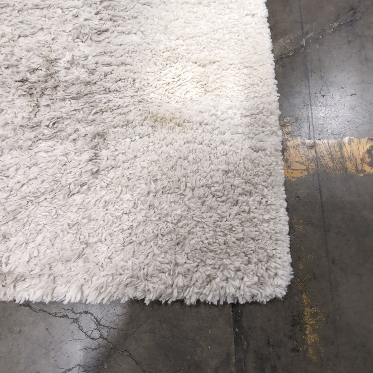 SAFAVIEH Fontana Shag Light Beige Area Rug