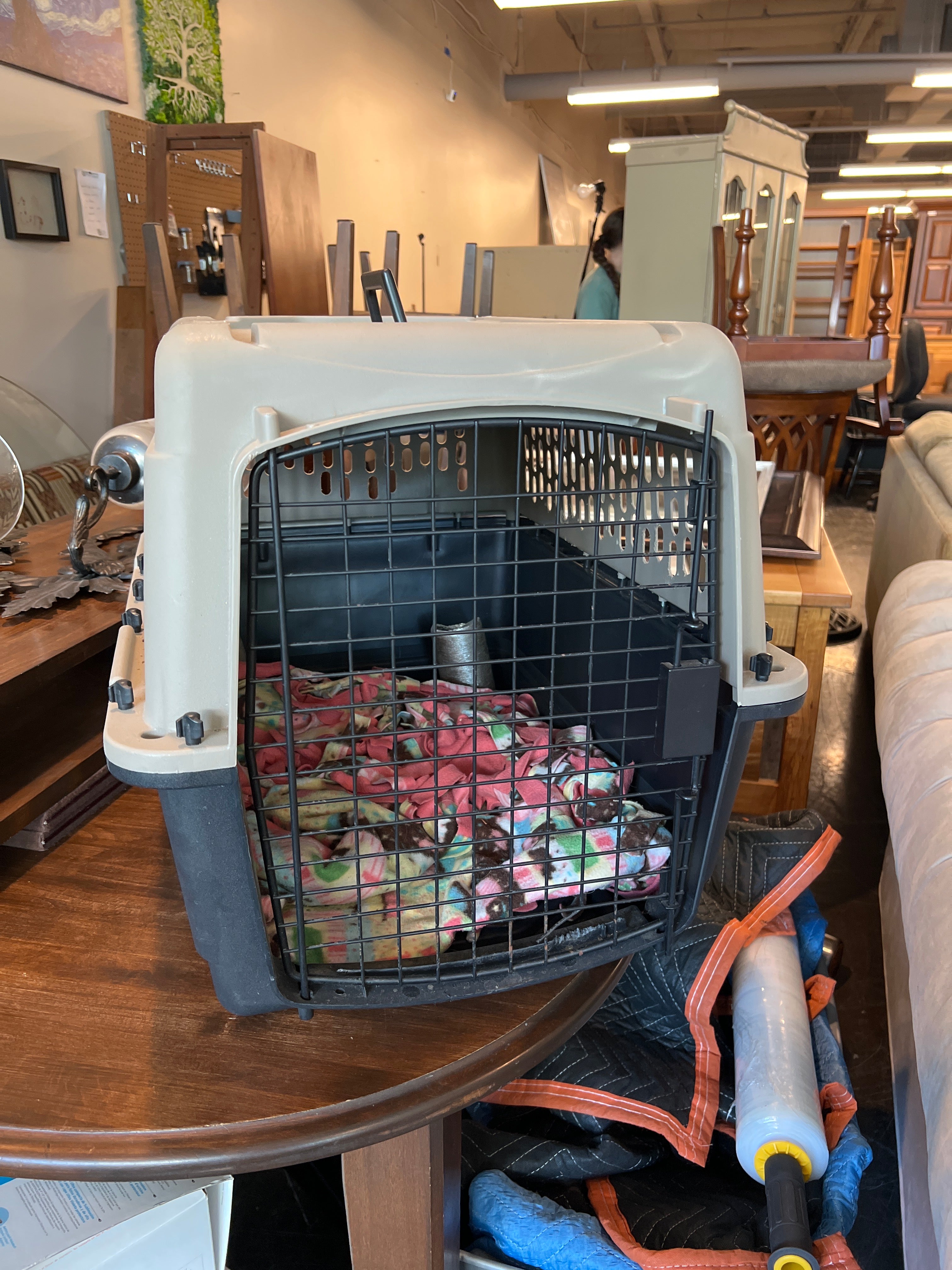 Small/Medium Travel Dog Kennel