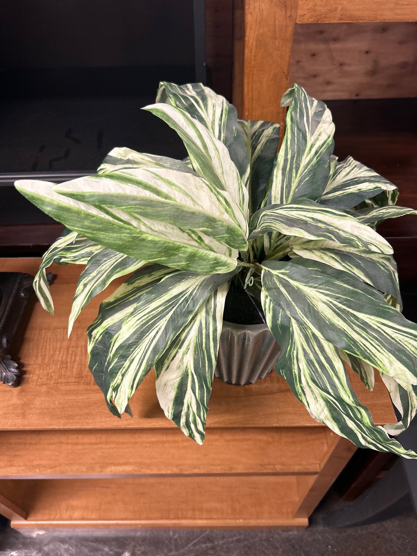 Artificial tropical house plant