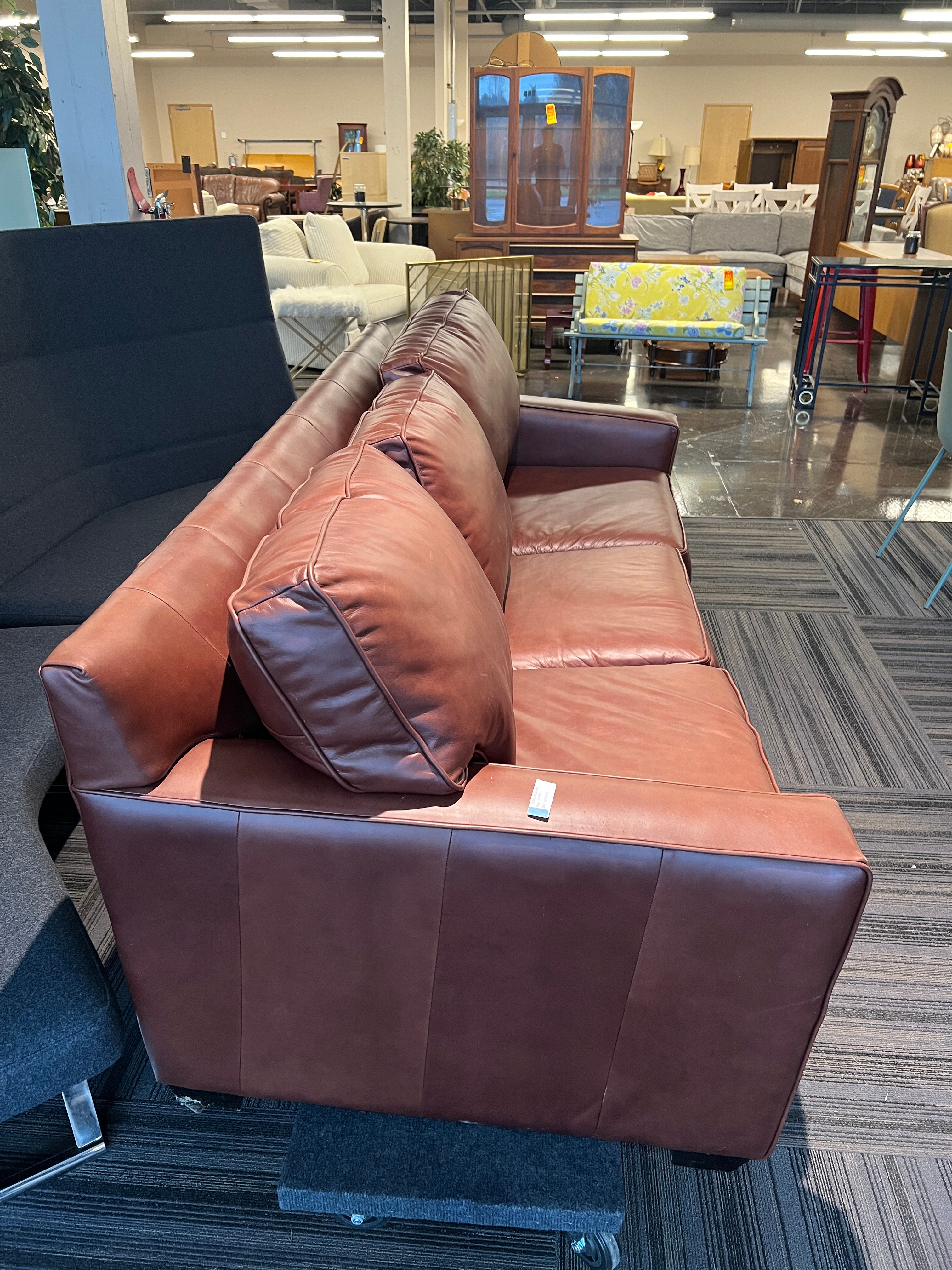 Leather Sofa Sleeper