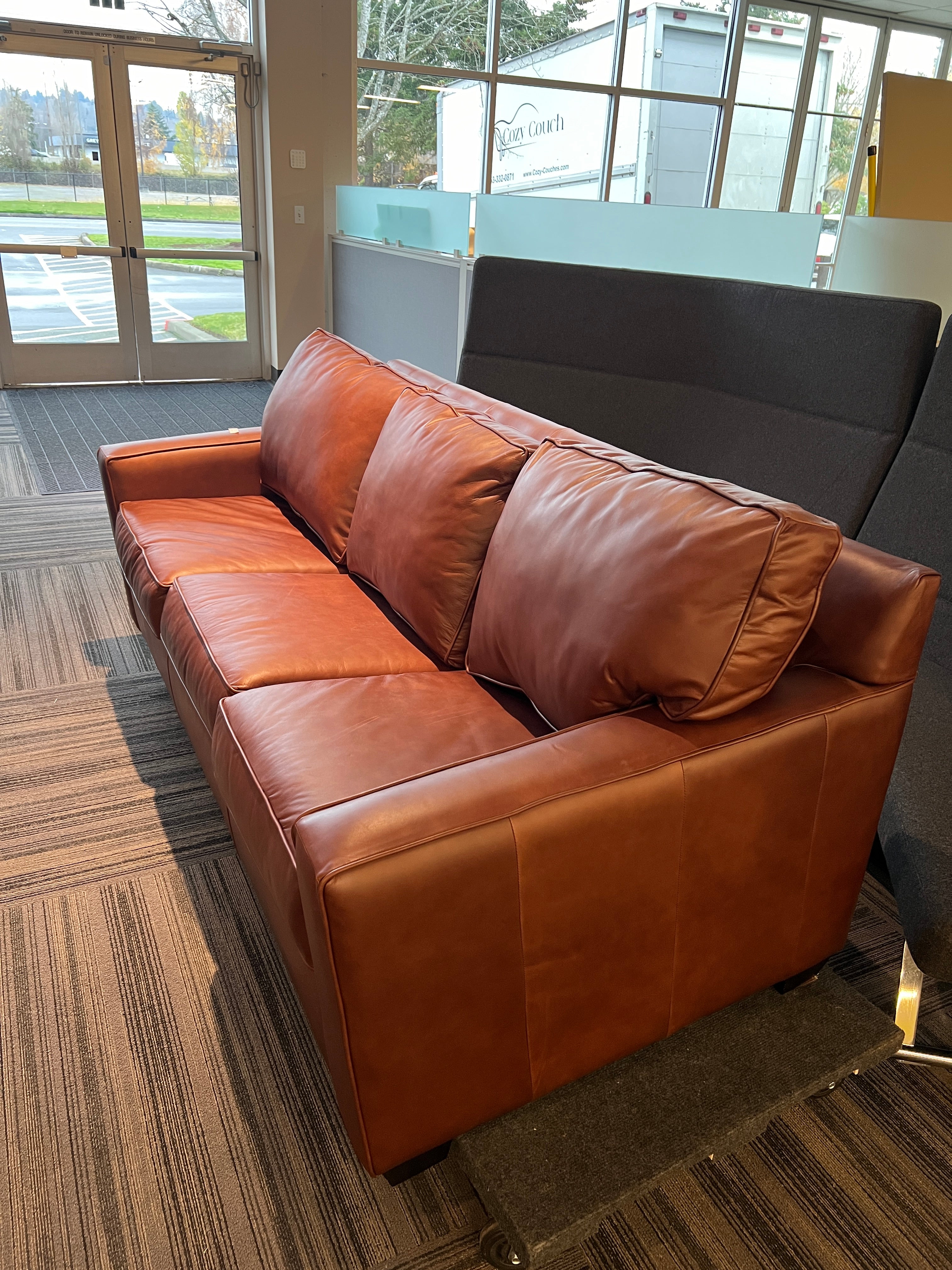 Leather Sofa Sleeper