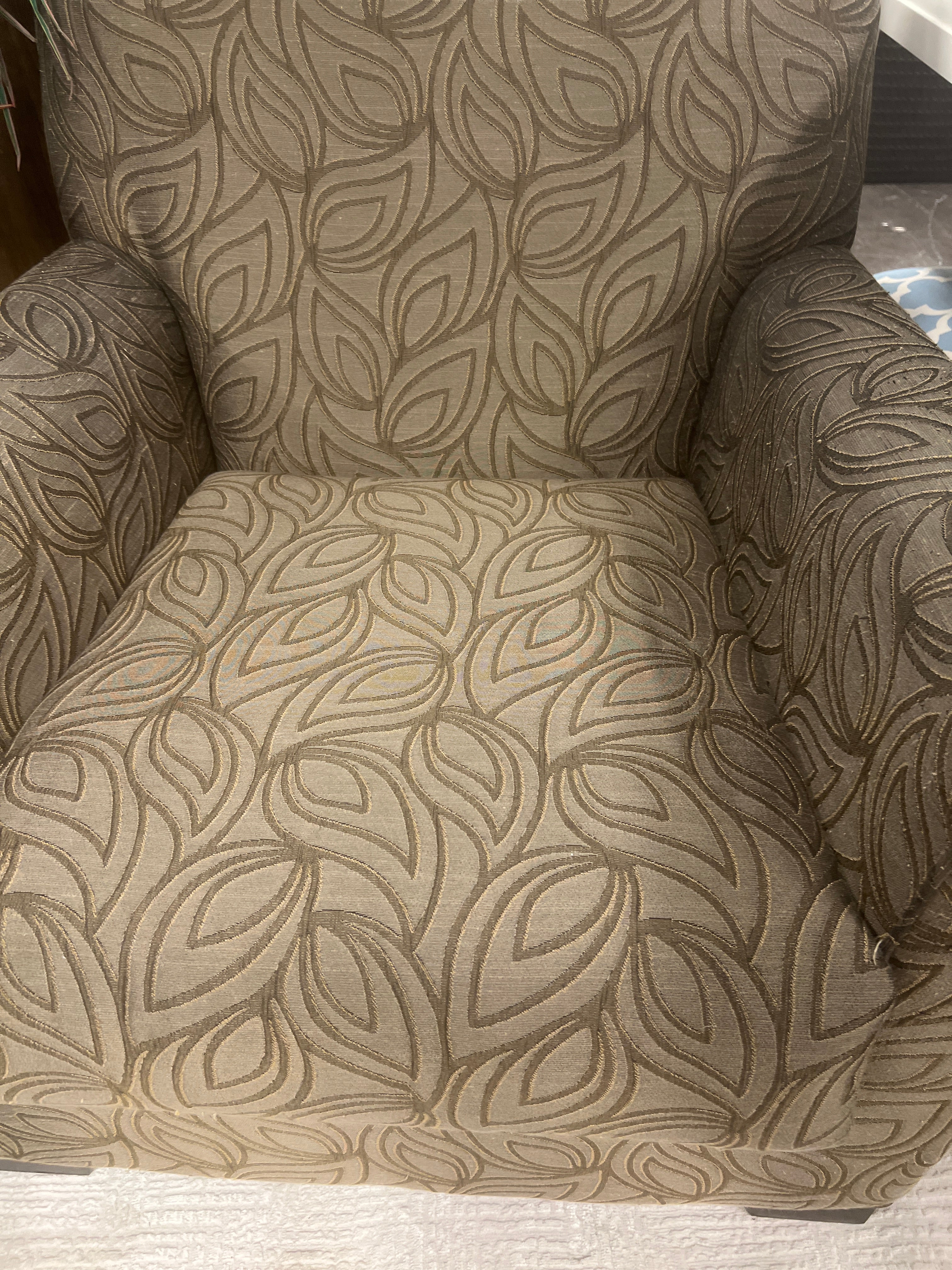 Set of Two Leaf Pattern Accent Chairs