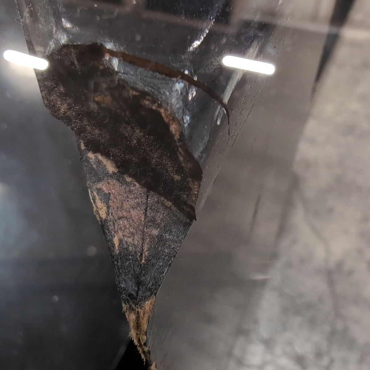 Geometric Black Marble and Glass Coffee Table