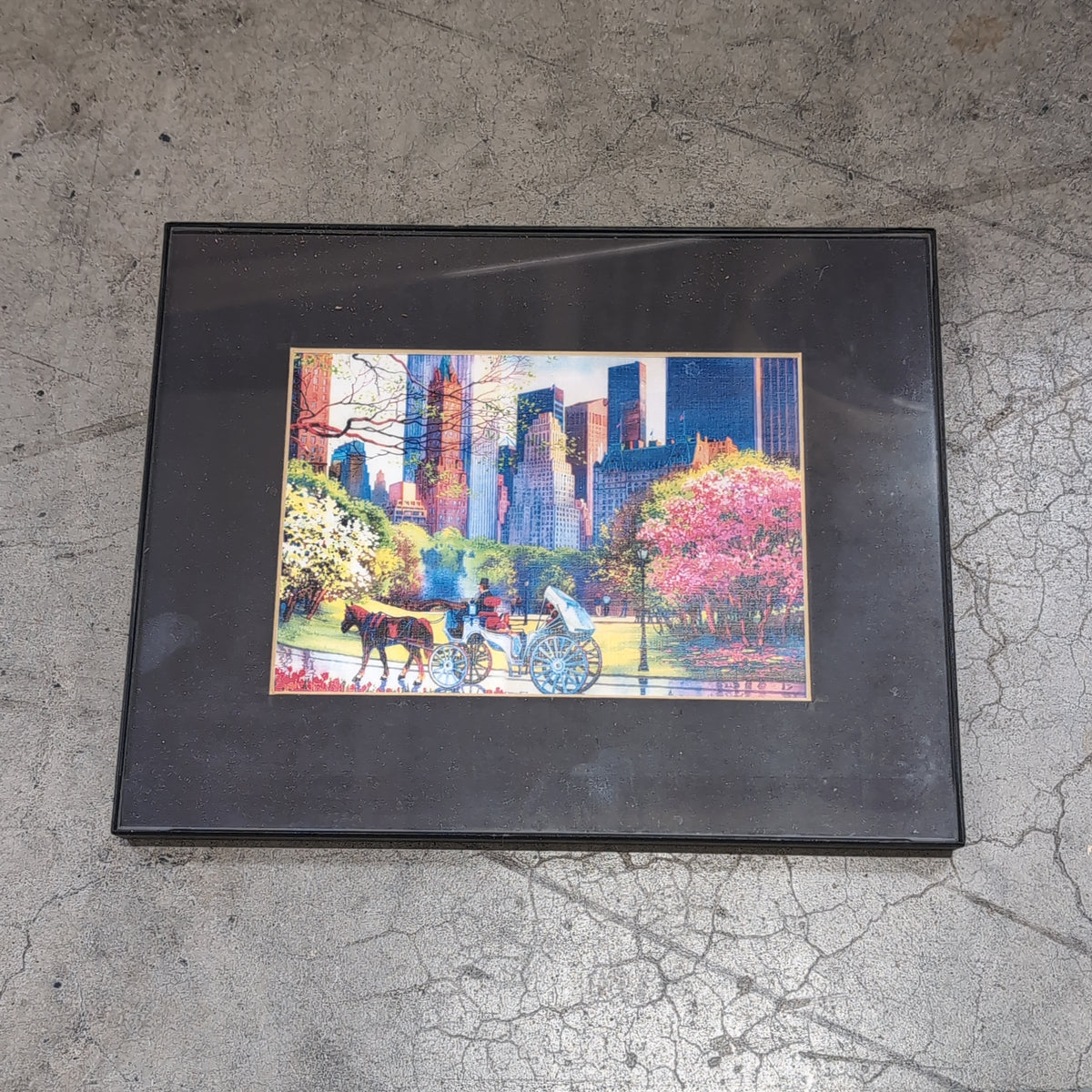 Colorful Central Park Horse Carriage Framed Picture in Black Frame