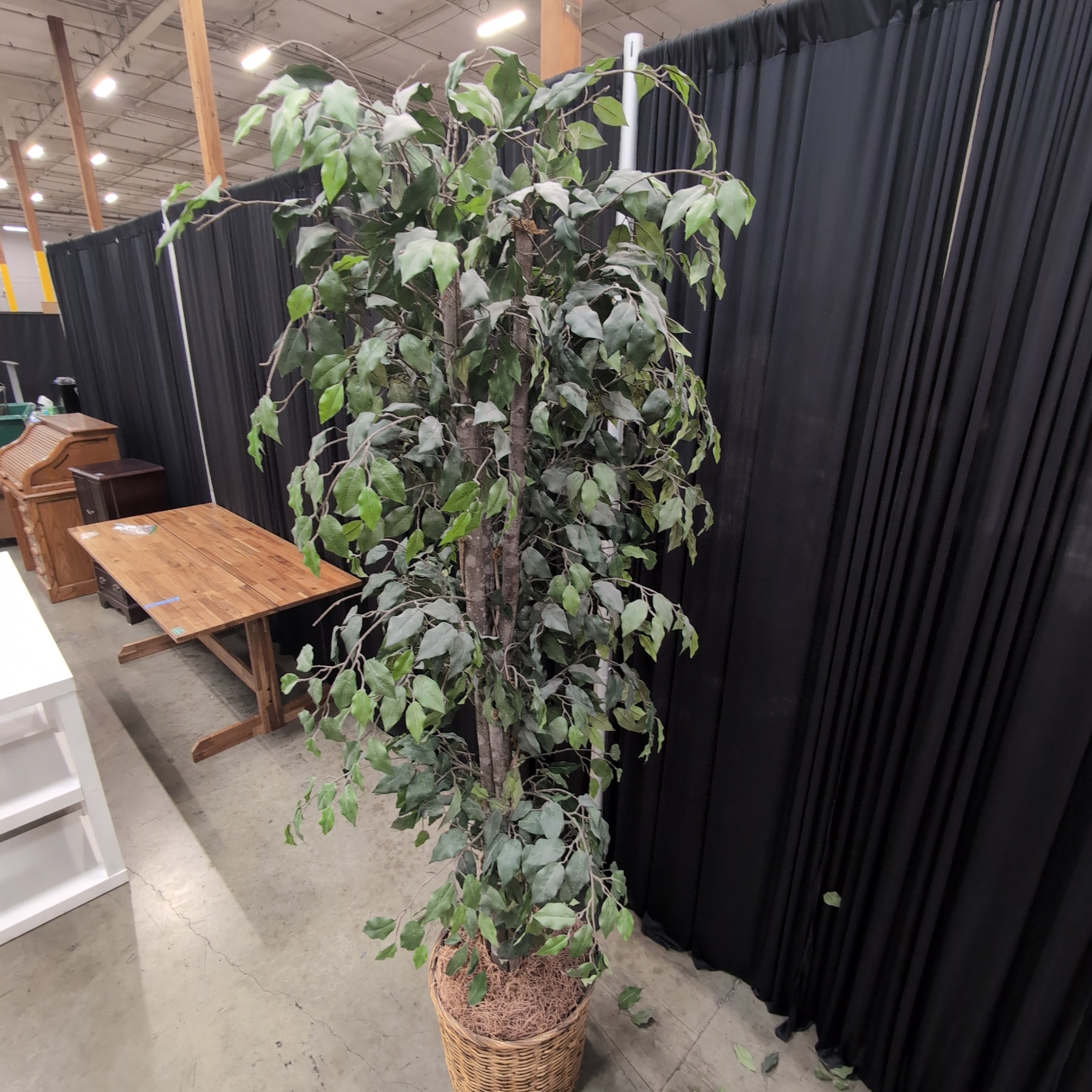 Tall Faux Ficus Artificial Tree in Wicker Basket