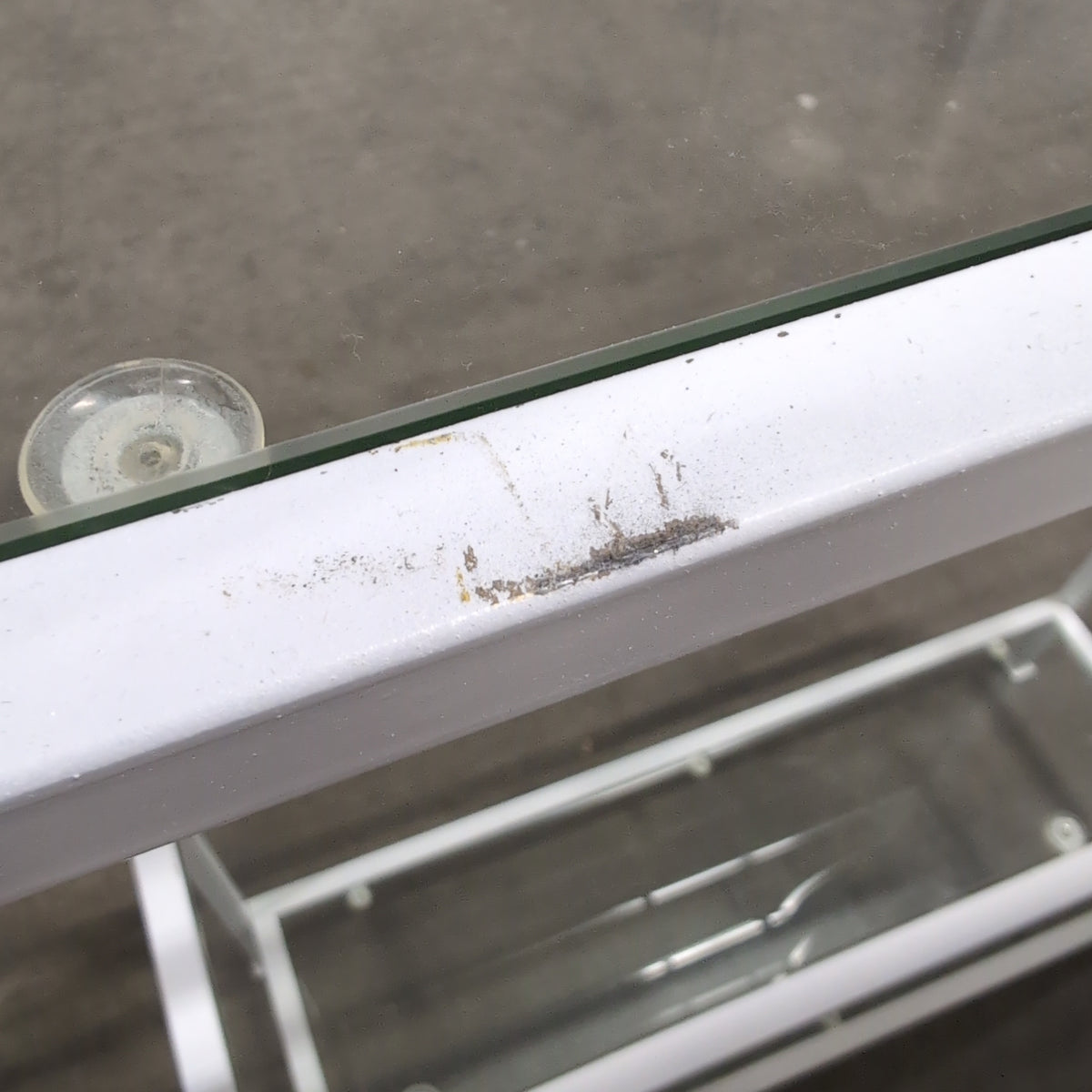 Modern White Metal Bookcase with Glass Shelves