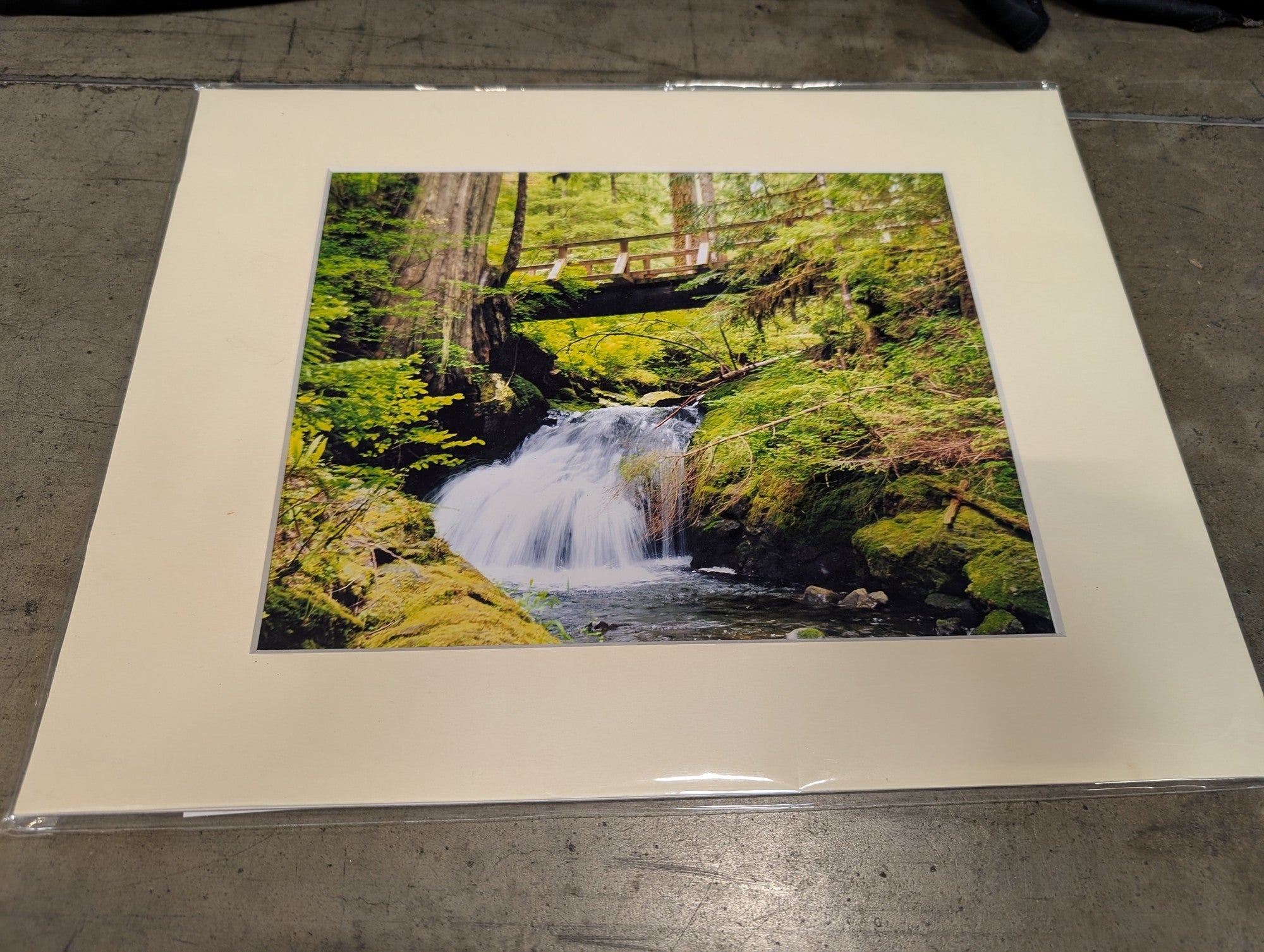 Matted Nature Forest Waterfall Art Print