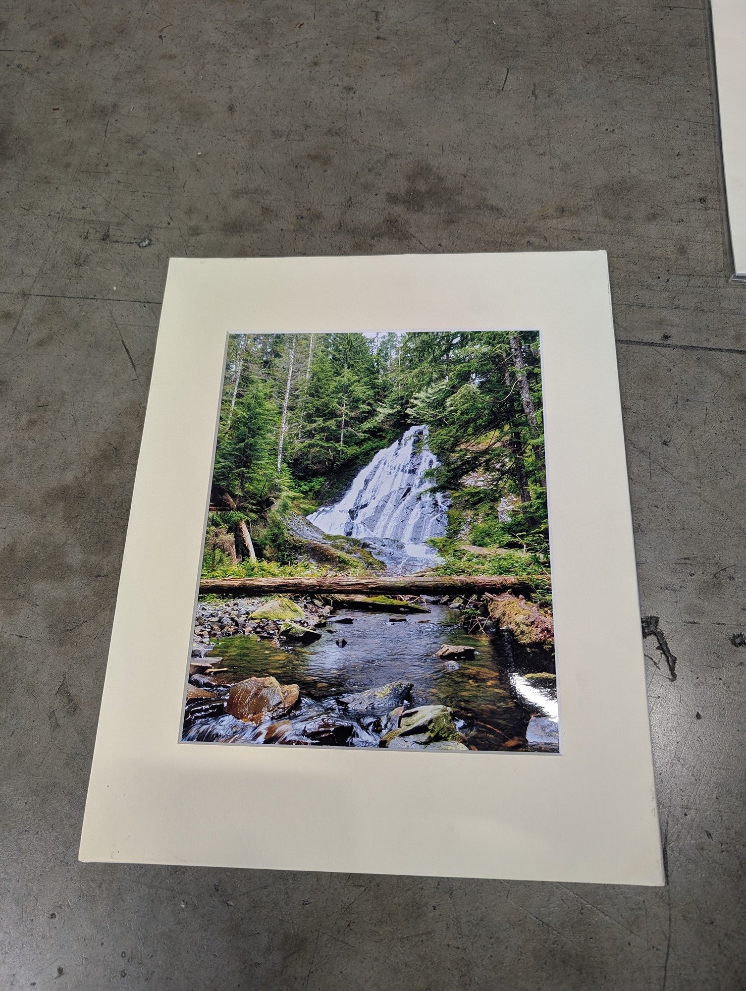 Scenic Forest Waterfall Matted Photograph