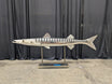 Polished Metal Barracuda Fish Sculpture on Stand
