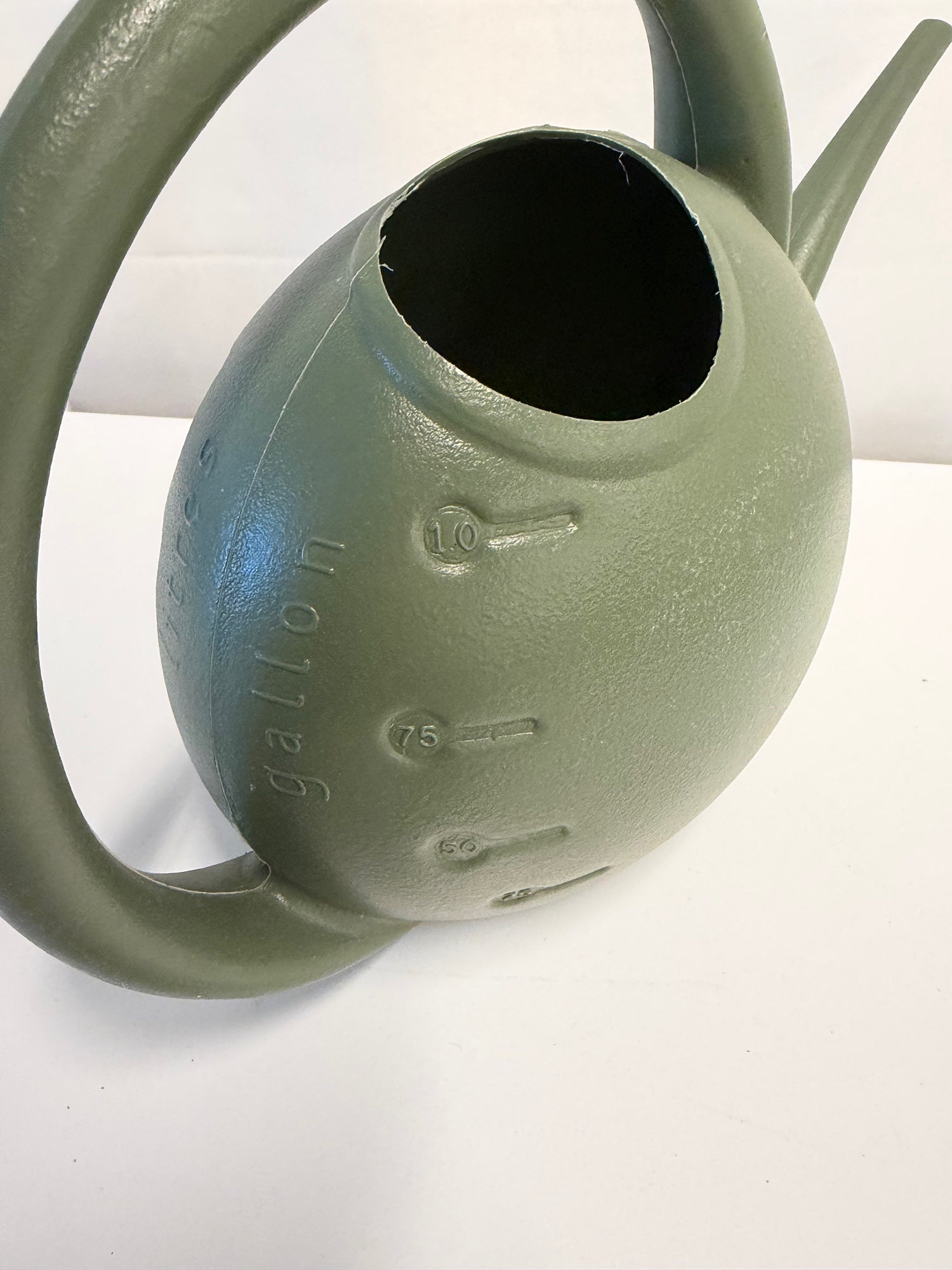 Garden Place Olive Green Globe Watering Can with Circular Handle