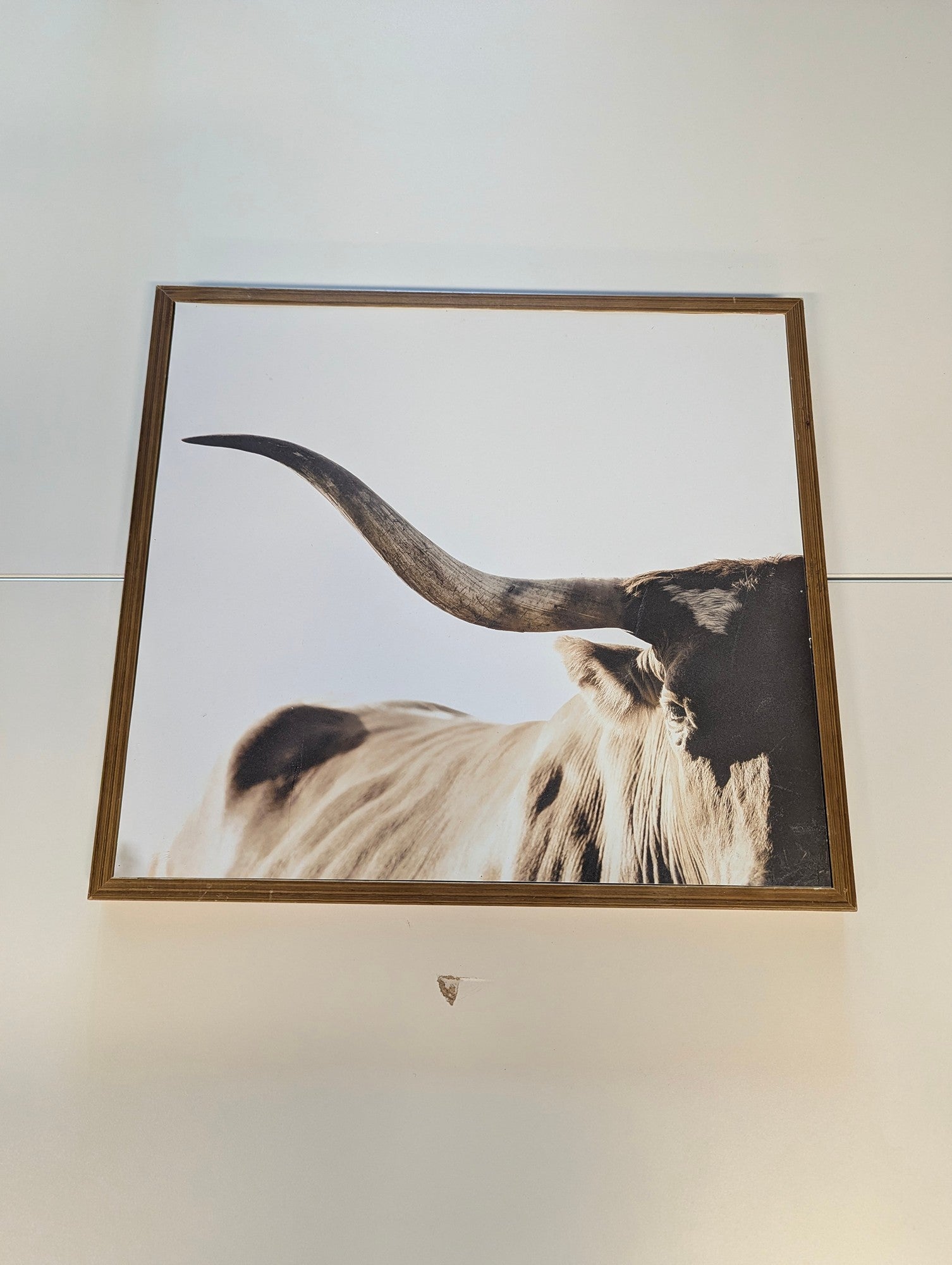 Framed Longhorn Steer Wall Art Print Rustic Farmhouse Decor