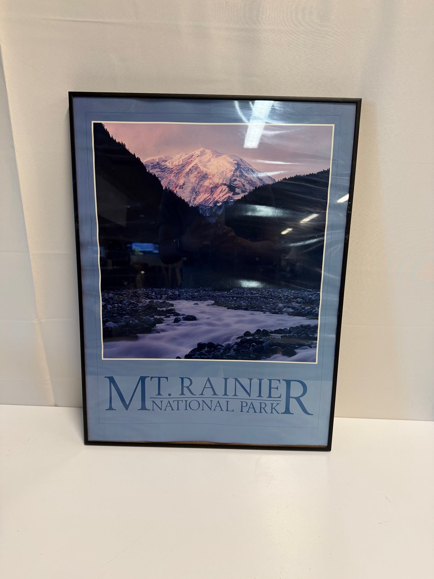 Mt. Rainier National Park Scenic Framed Landscape Print