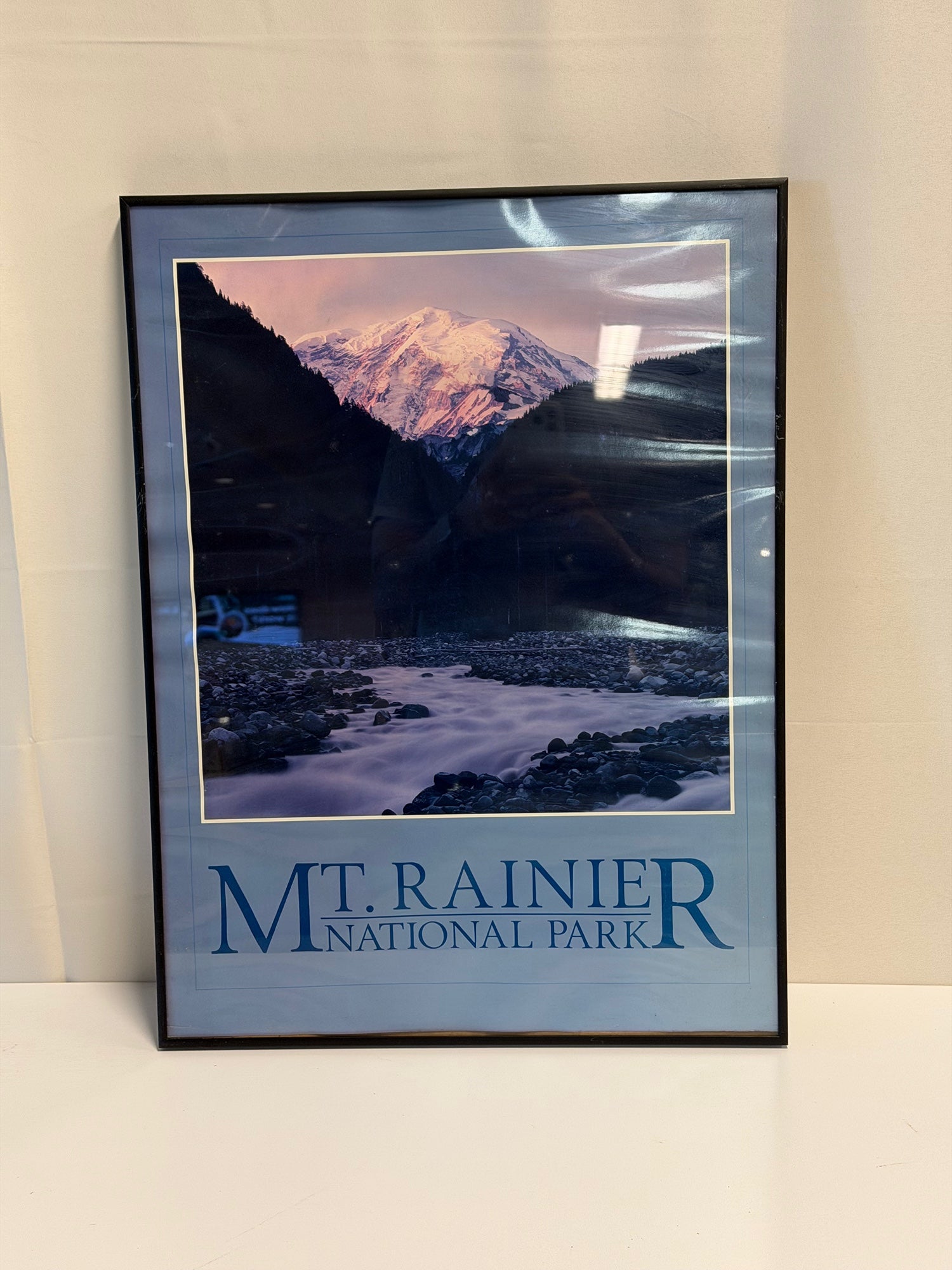 Mt. Rainier National Park Scenic Framed Landscape Print