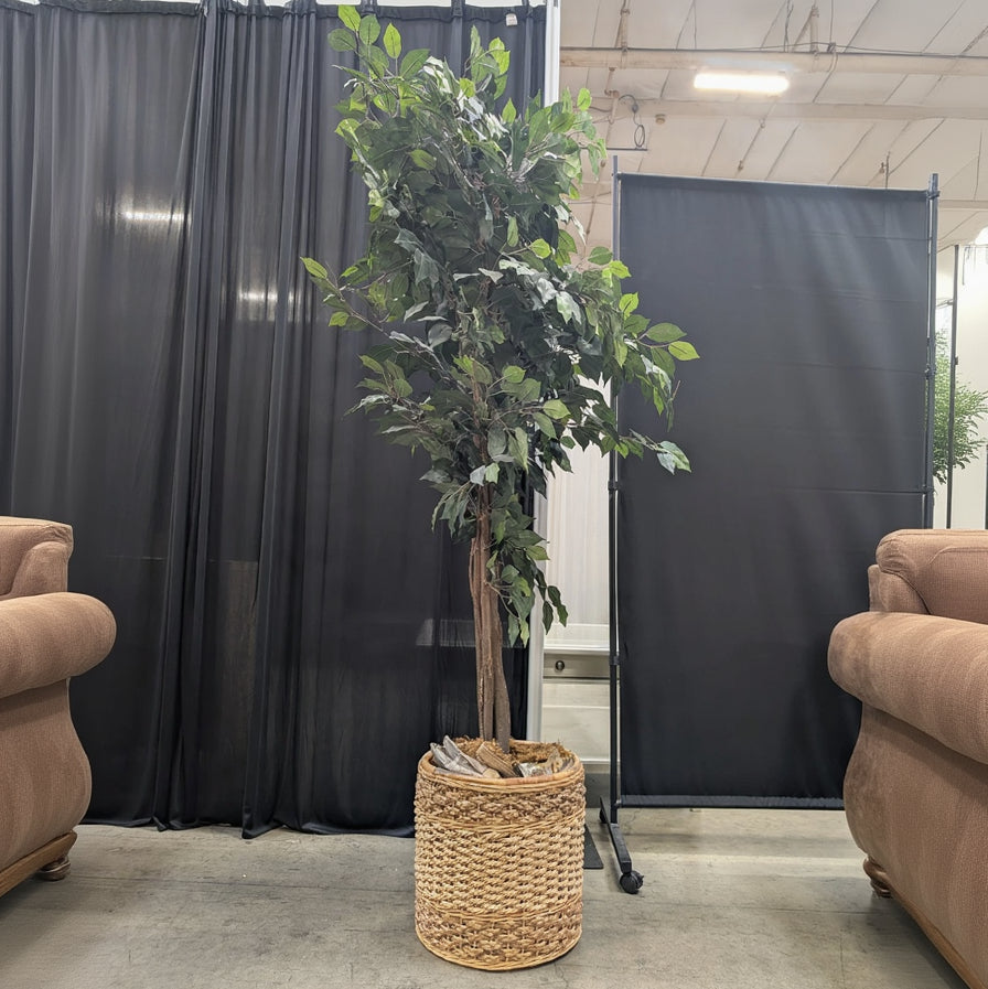 Tall Green Faux Tree in Woven Basket