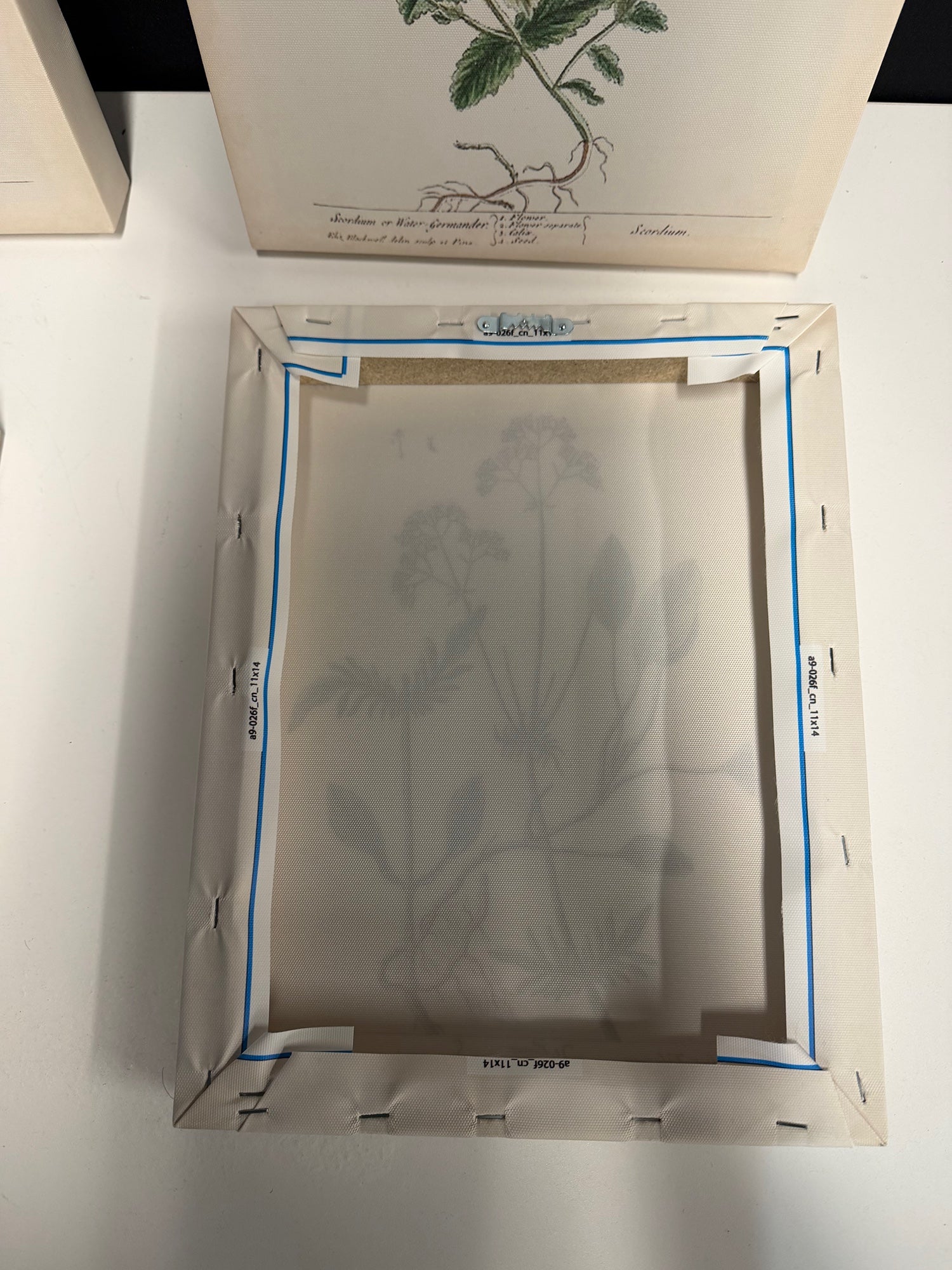 Set of 4 Stupell Home Decor Antique Floral Herbs Canvas Wall Art