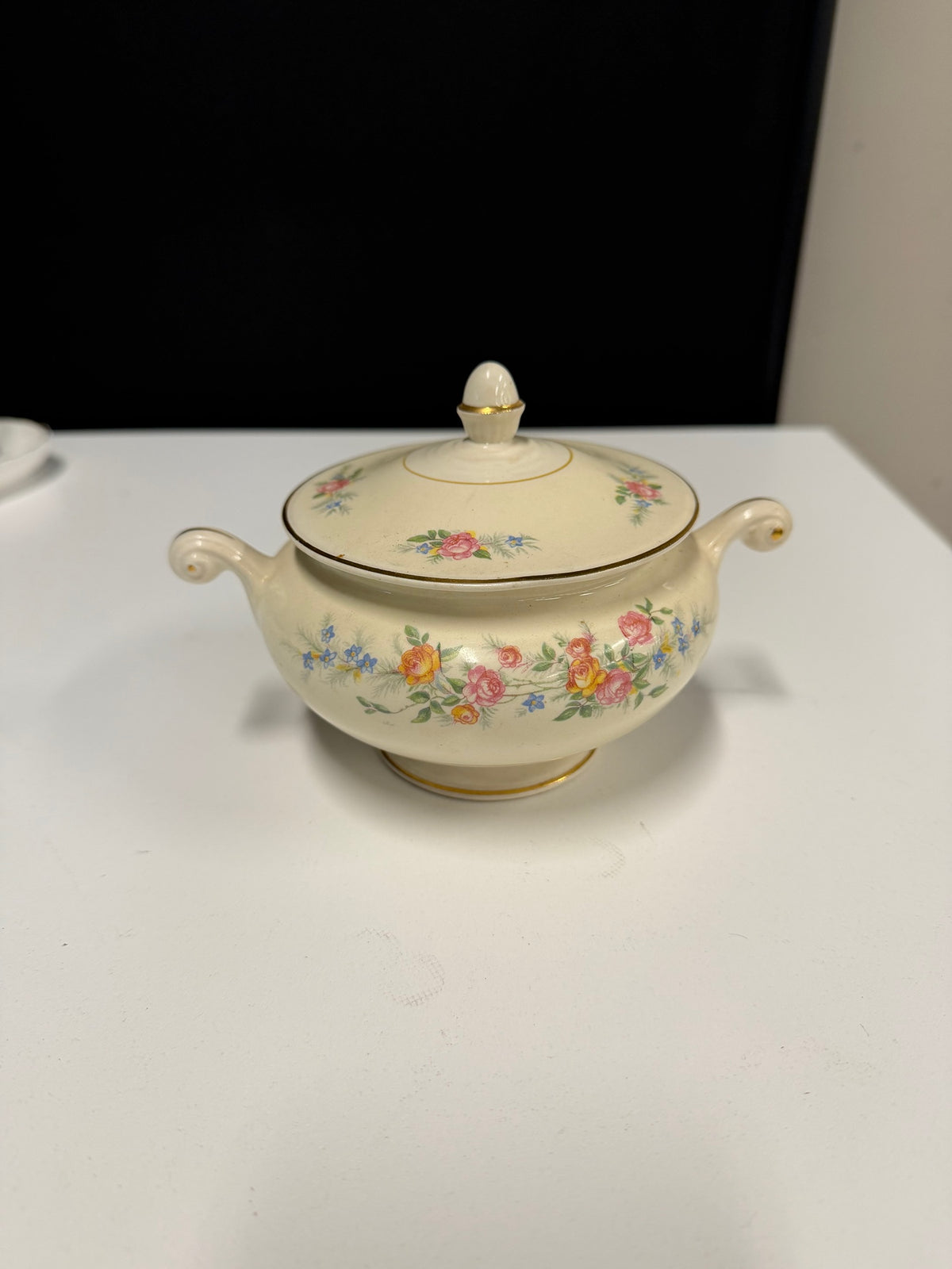 Eggshell NAUTILUS Cream Floral Sugar Bowl