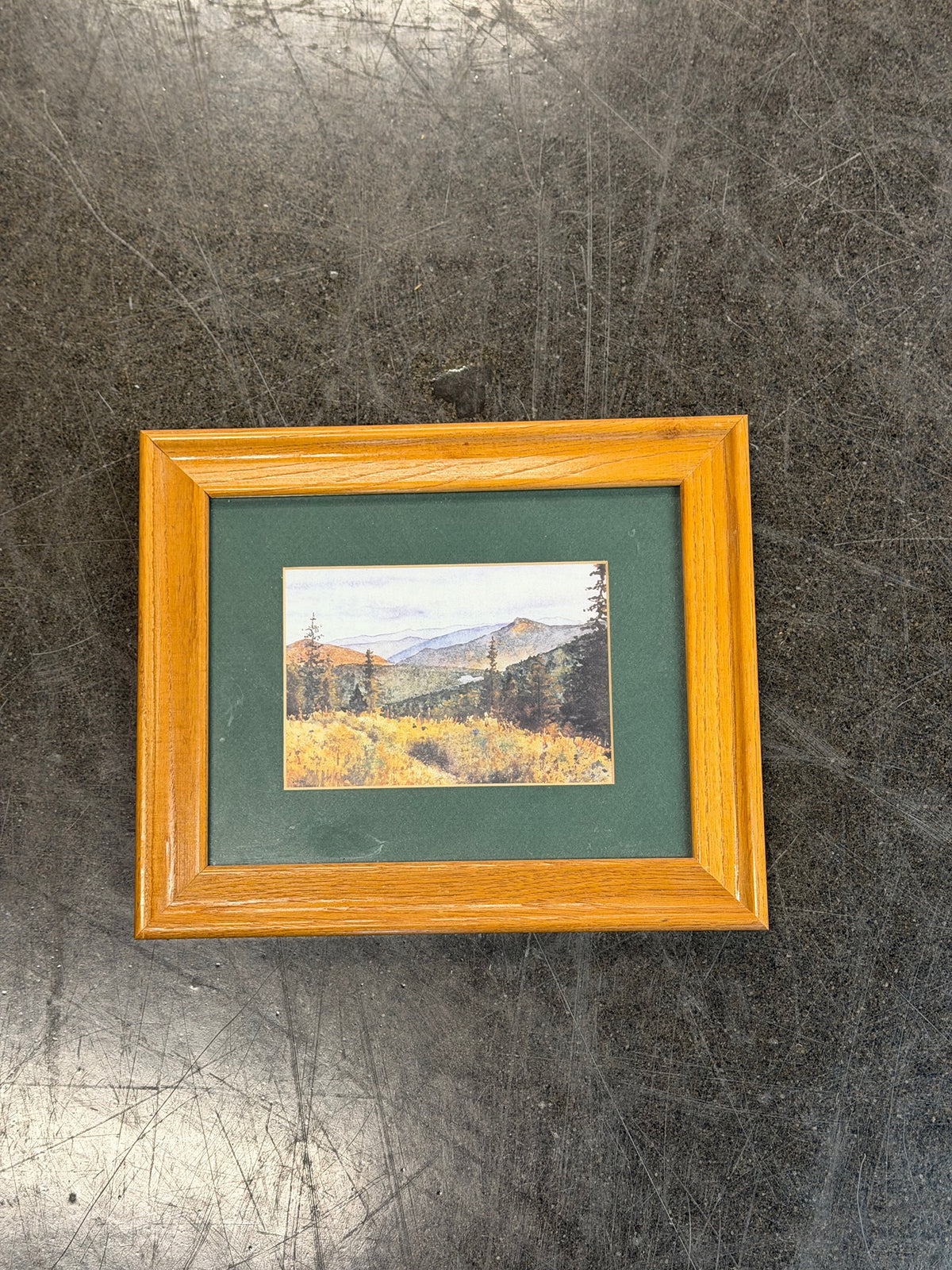 Wildflower Hike Print from Original Watercolor by Dorothy Modafferi