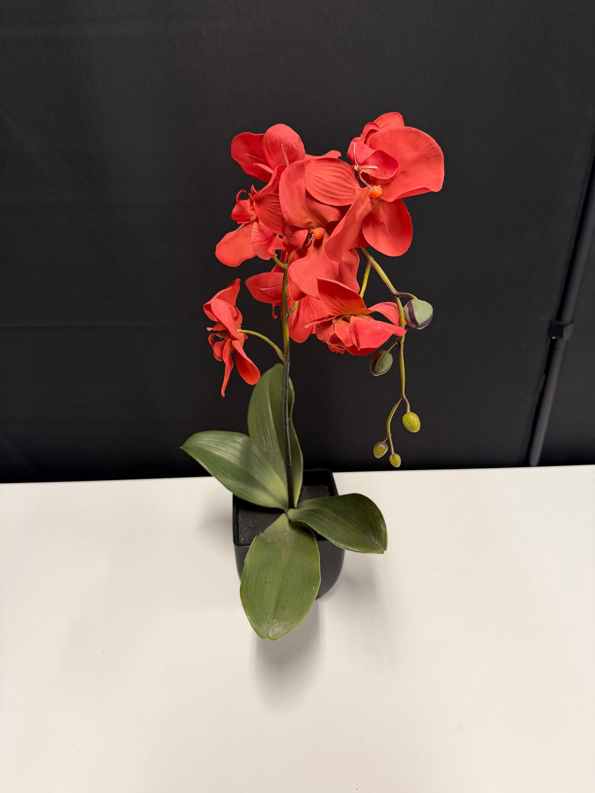 Kohl's Red Artificial Orchid Plant in a Black Pot