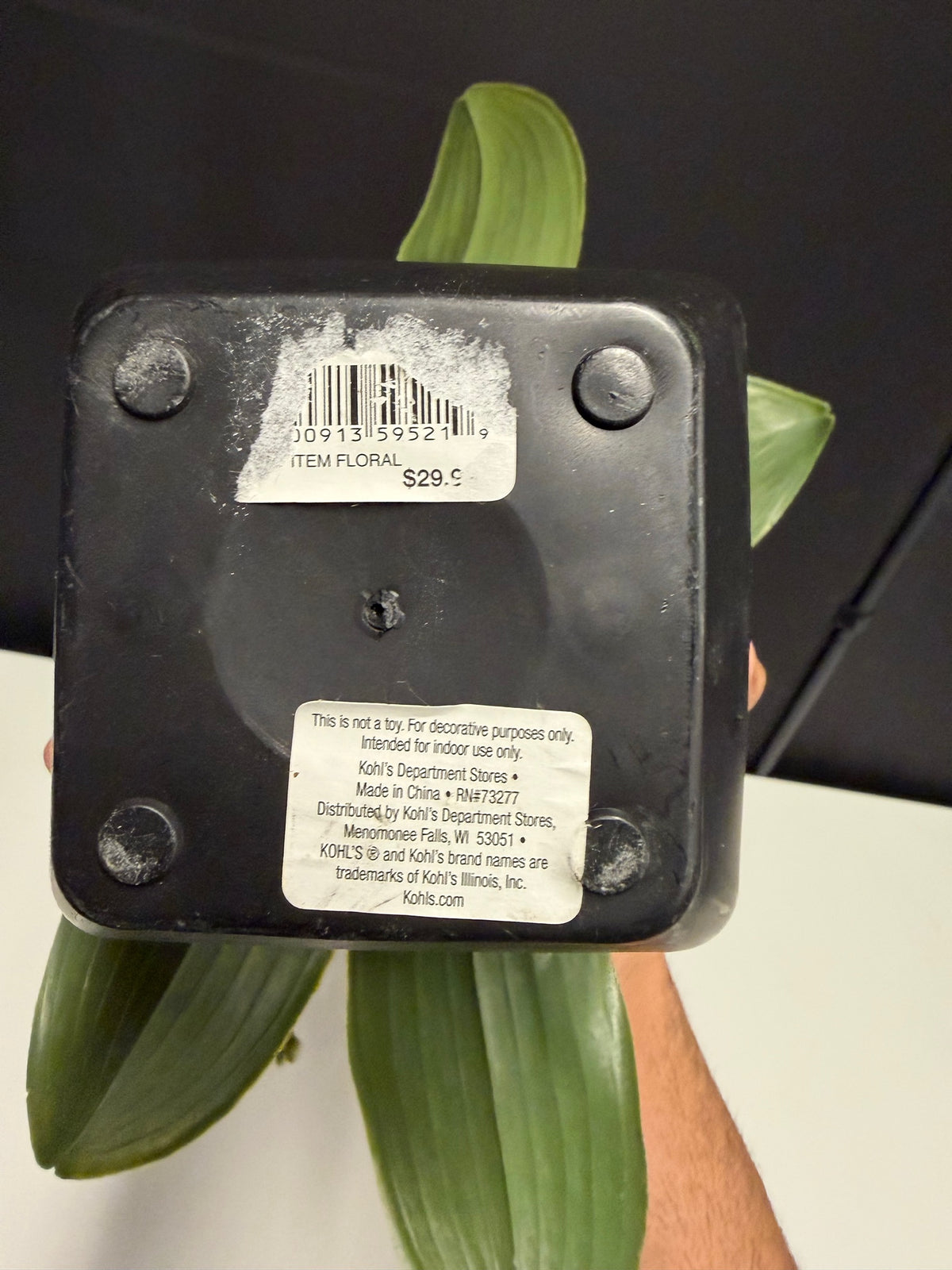 Kohl's Red Artificial Orchid Plant in a Black Pot